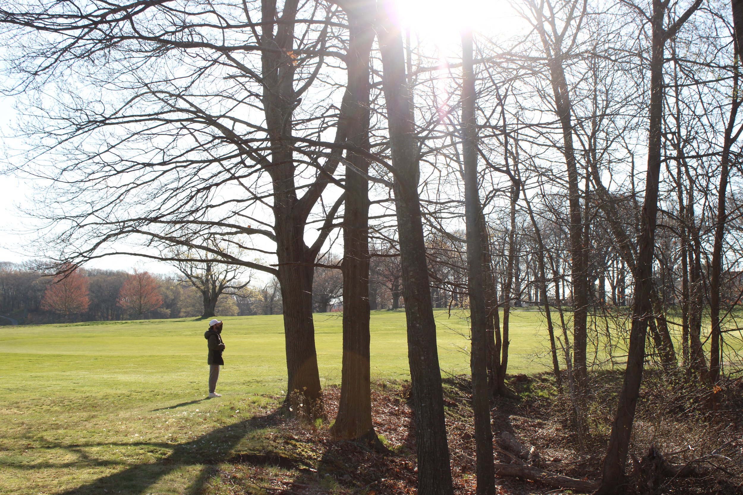 Patrick Murphy, 29, searching for birds in the woods at Franklin Park, Dorchester, MA.