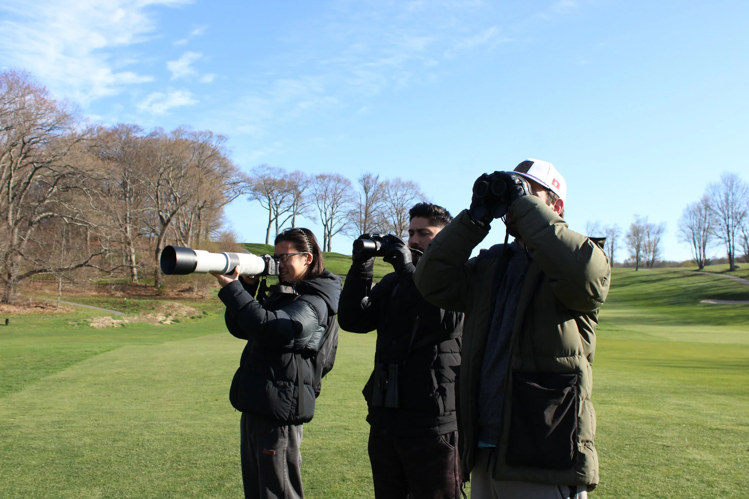 The birding trio, McQueen Chen, 19, Nicholas Komar, 32, and Patrick Murphy, 29, excited to find a Marsh Wren in Franklin Park, Dorchester, MA.