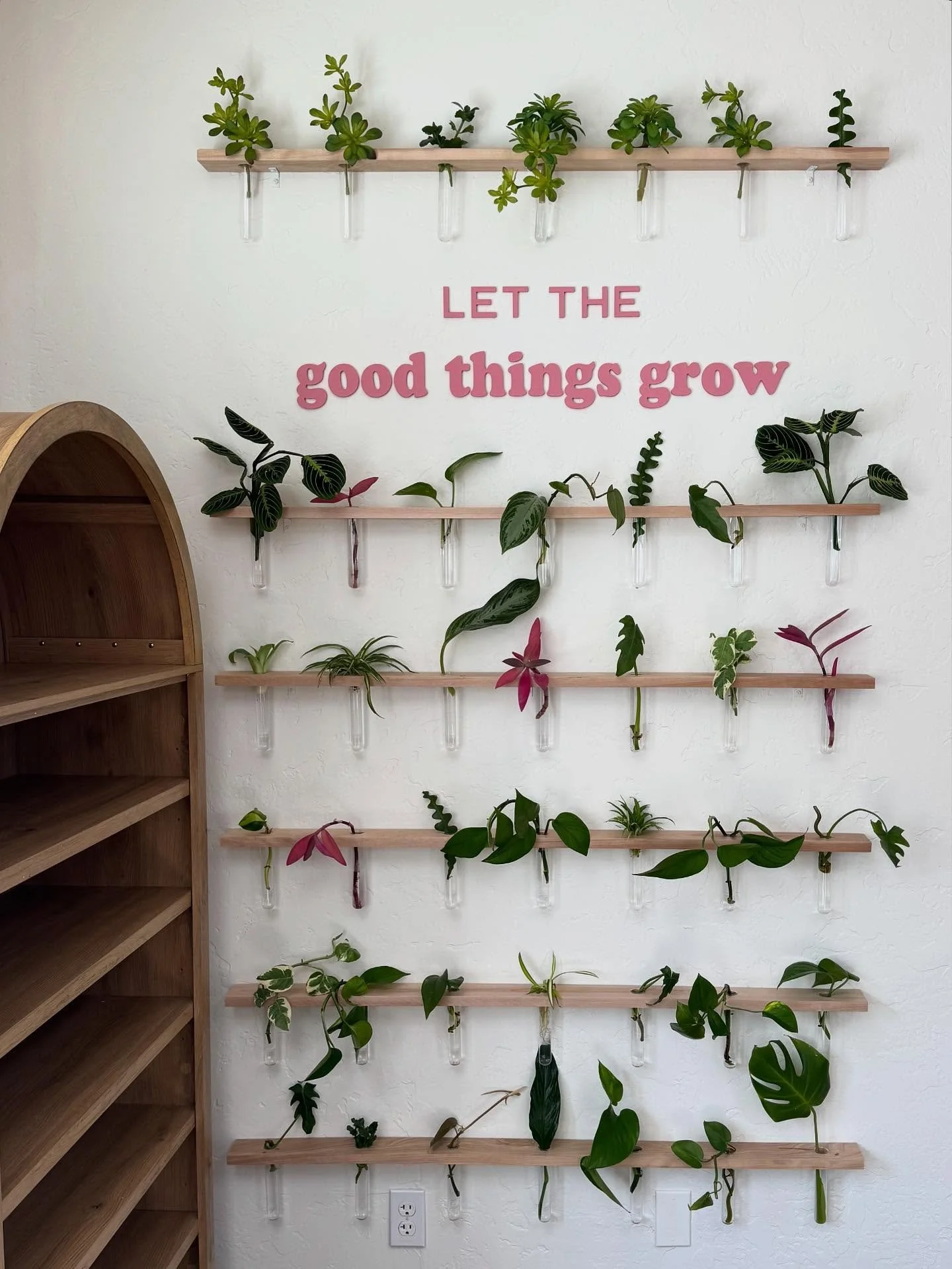 A beautiful addition to our store!🌱