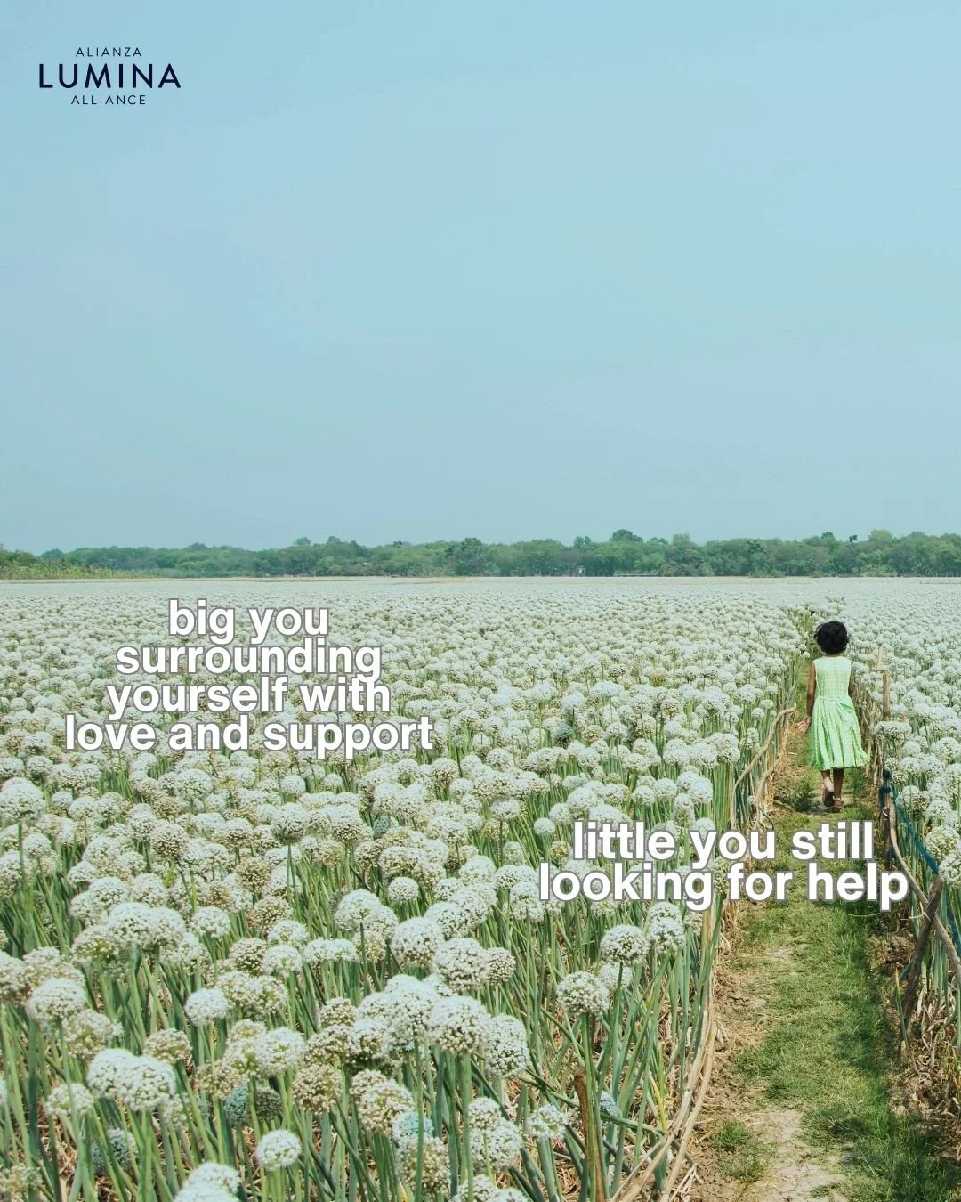 Your healing journey matters. When you&rsquo;re ready, Lumina Alliance is here with 24/7 crisis support, therapy, advocacy, and emergency shelter for survivors of sexual assault, domestic violence, child abuse, and intimate partner violence. 💛⁠
⁠
📞