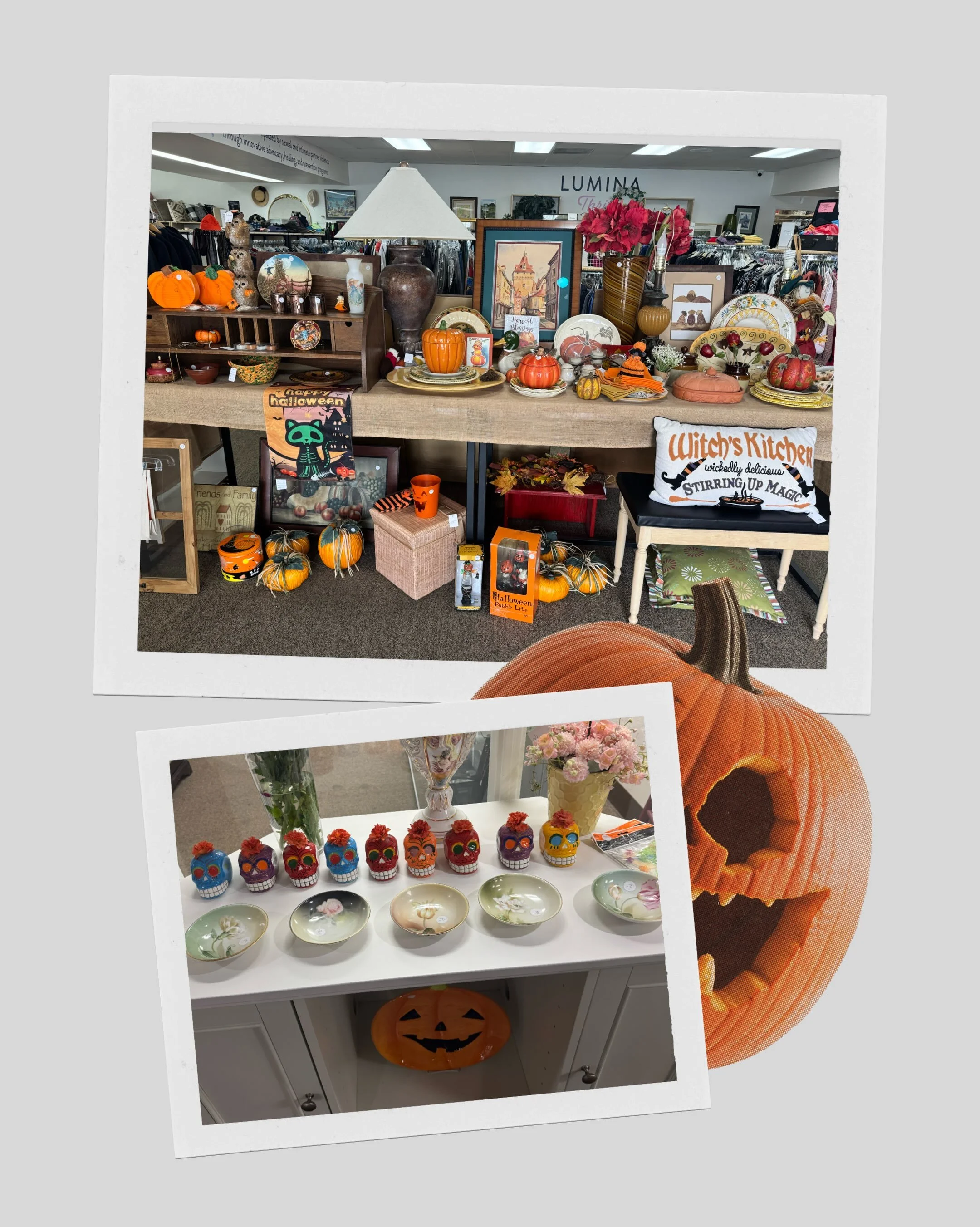 Spooky season has arrived at the thrift store!🎃
