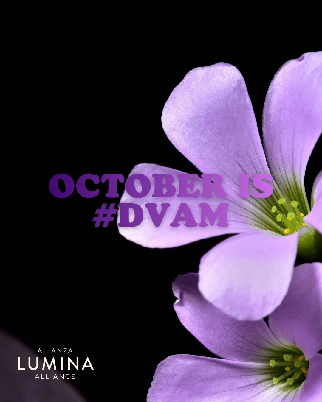 October is Domestic Violence Awareness Month. 💜⁠
⁠
Domestic violence is not an issue that happens somewhere else. National data show that more than 1 in 3 women and more than 1 in 6 men experience intimate partner violence in their lifetimes&mdash;m