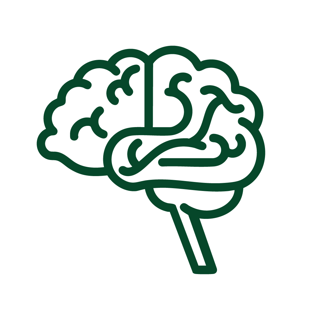 A brain, representing Deep Brain Reorienting, abbreviated to DBR.