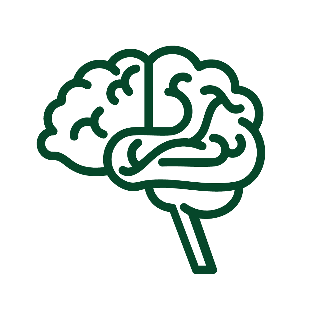 A brain, representing Deep Brain Reorienting, abbreviated to DBR.
