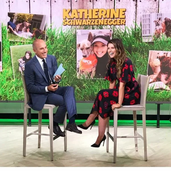 A woman and a man sit on high chairs on a television set with a background of large photos of animals and green grass. The woman is wearing a black dress with red roses, and the man is in a blue suit. They are laughing and talking, possibly during an
