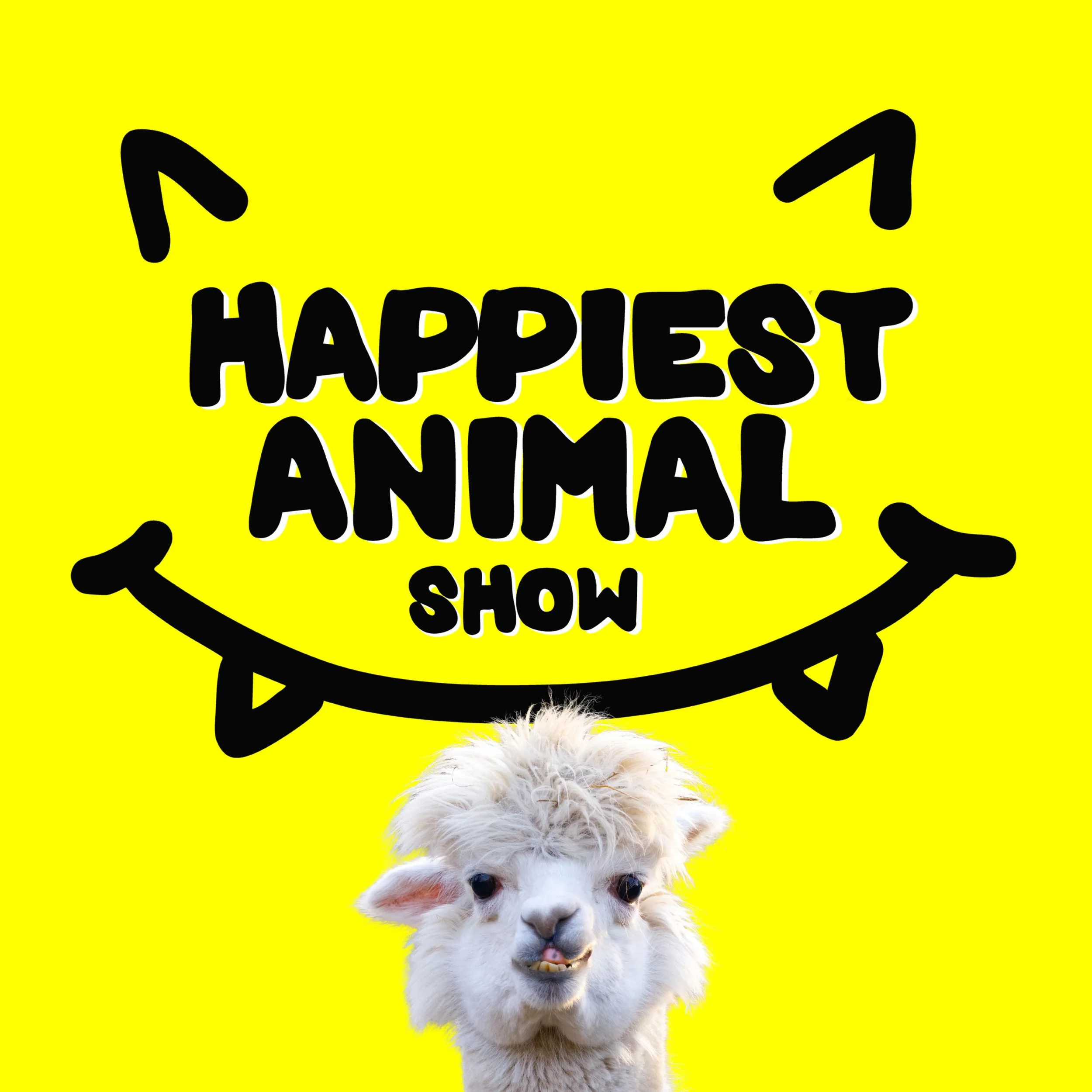 Animals That Look Happy (with improv comedian Colin Mochrie)