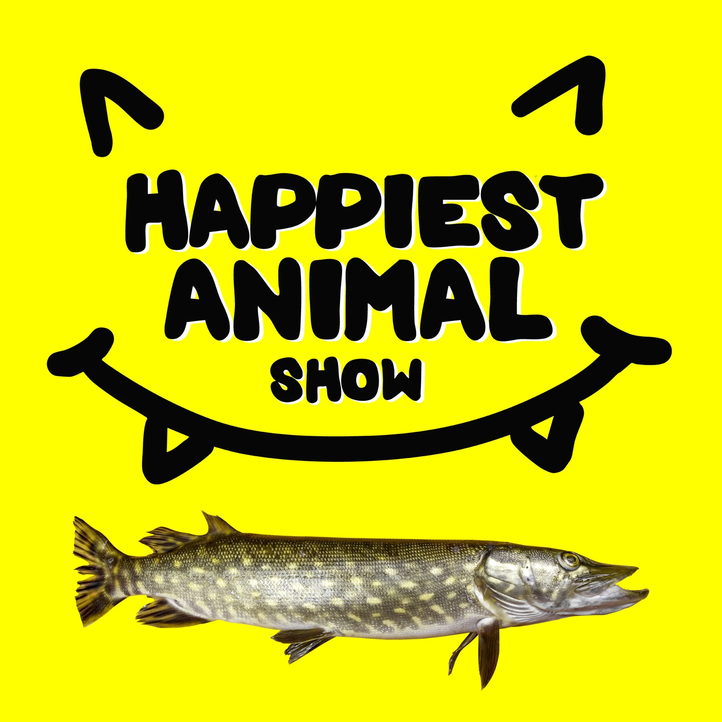 Lake Animals (with comedian Sean Jordan)