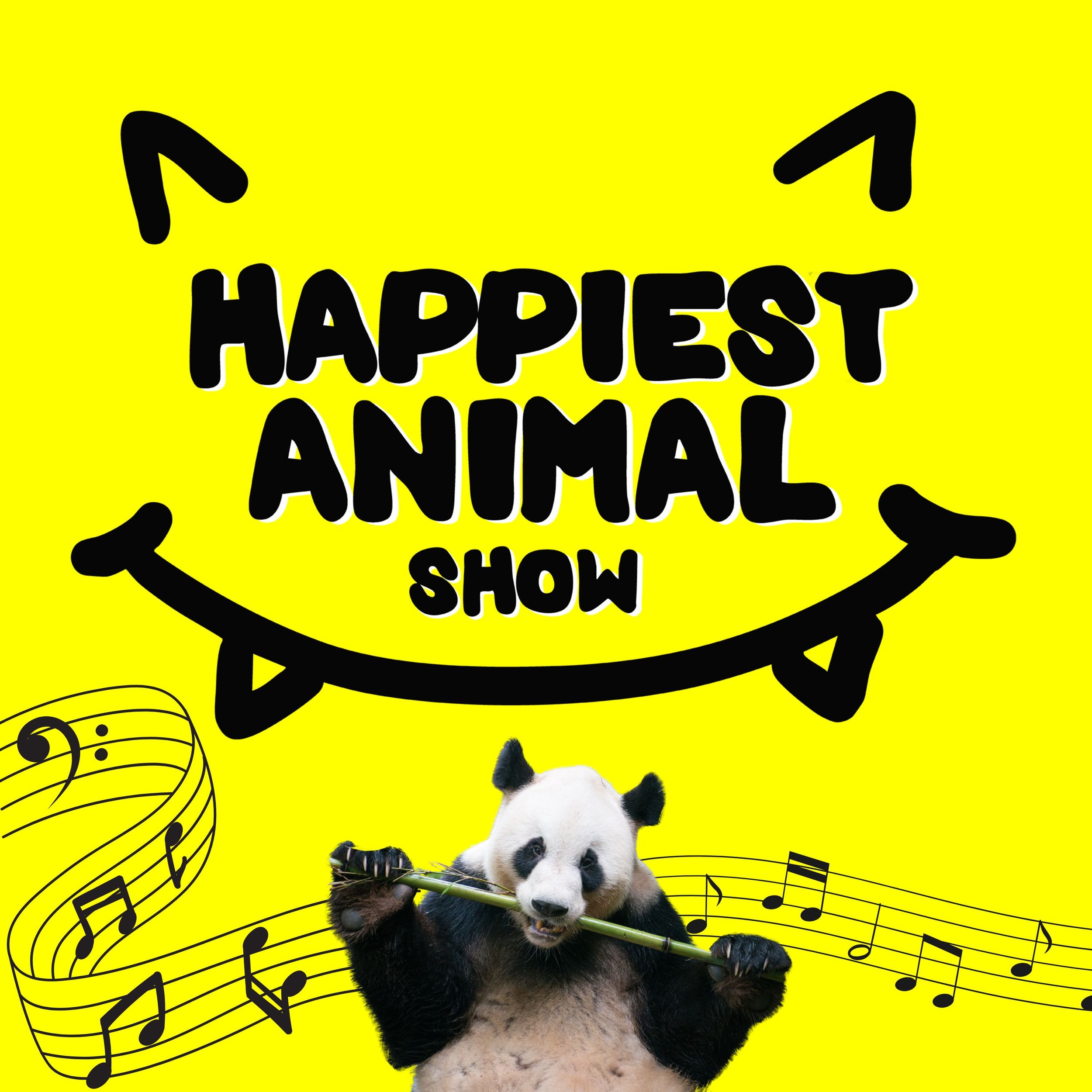 Animal Songs (Round 2)