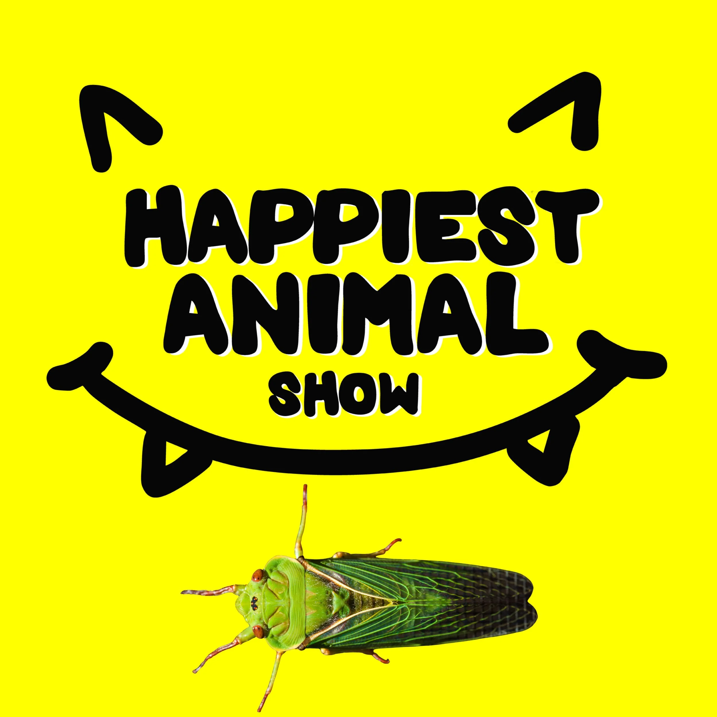 Loud Animals (with guest artist Mike Matola)
