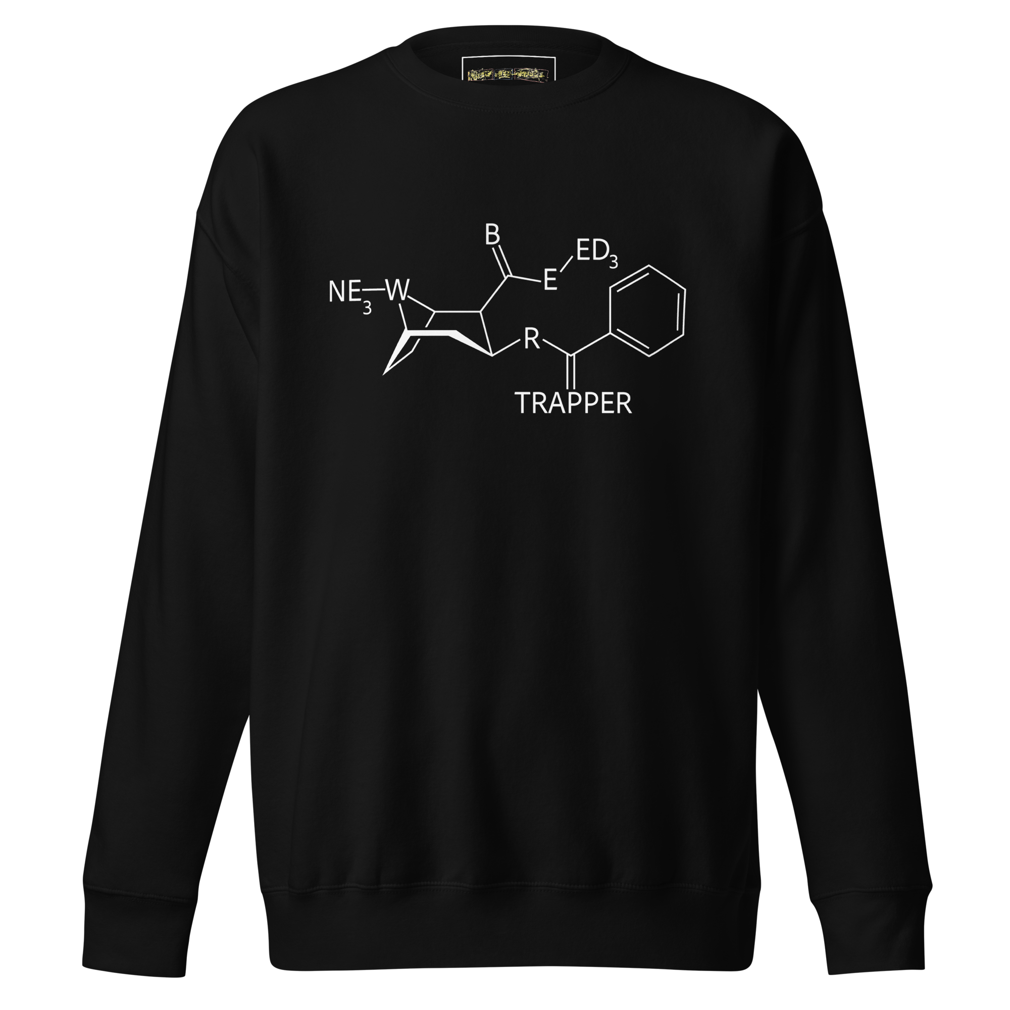 unisex-premium-sweatshirt-black-front-6807d5cec72d1.png