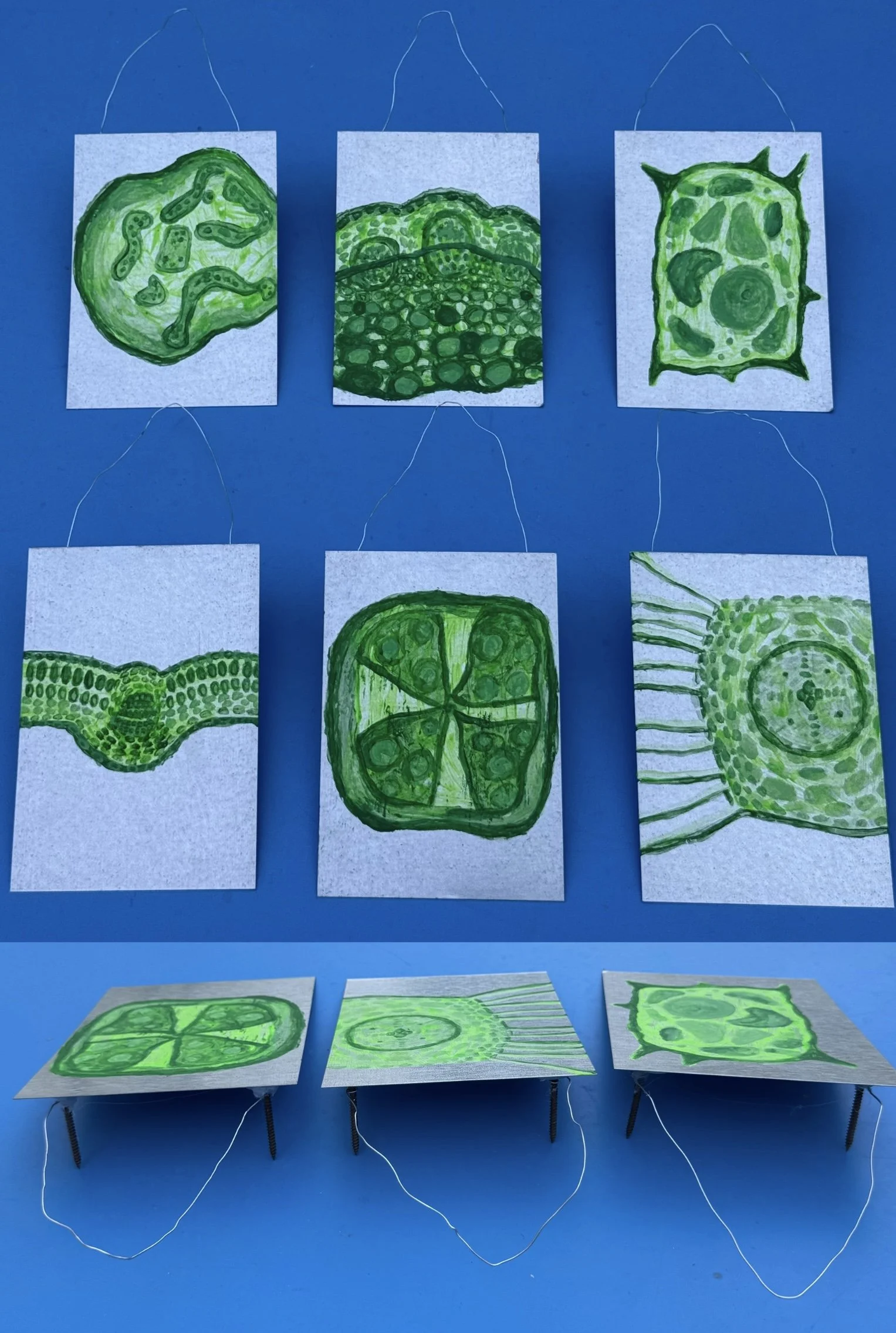 Cells.jpg (Copy) (Copy) (Copy)