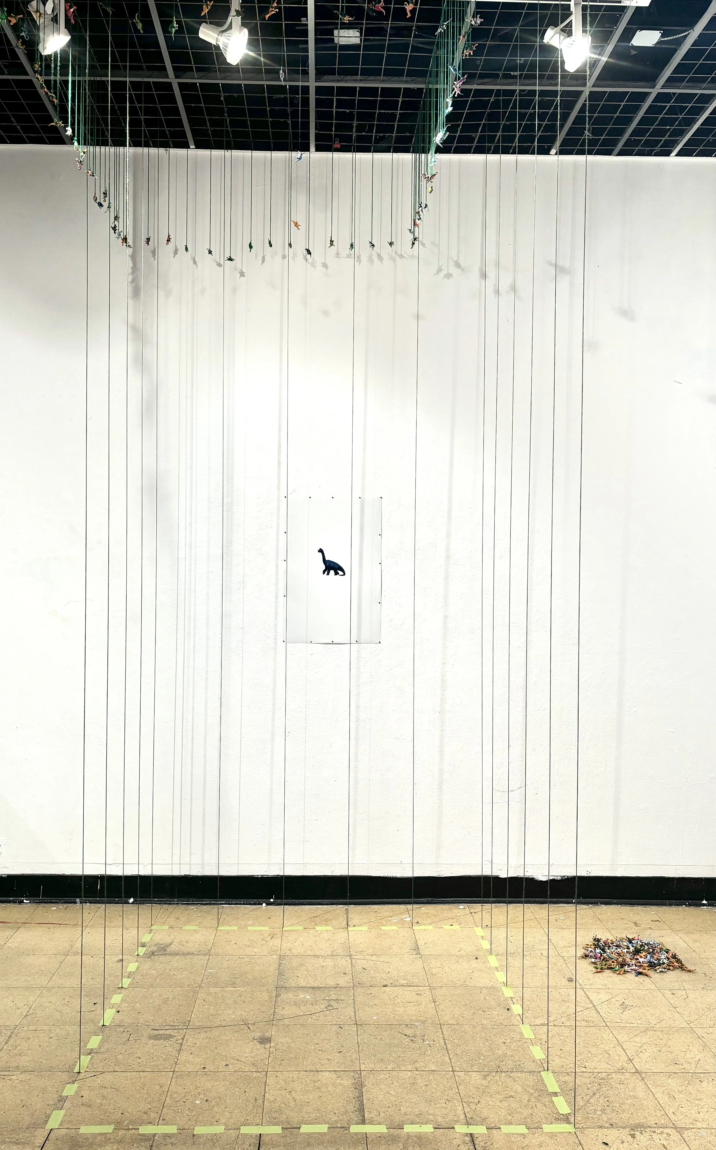 photos by the artist