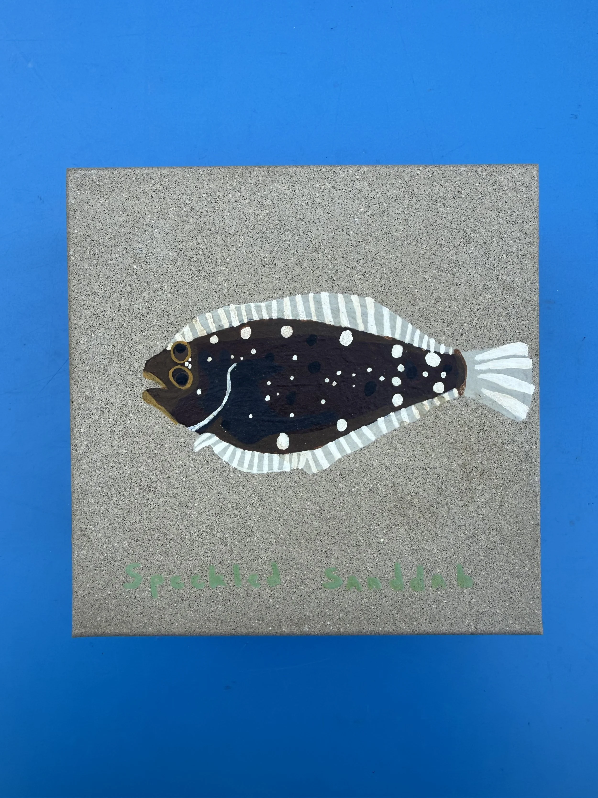 fish 6.jpg