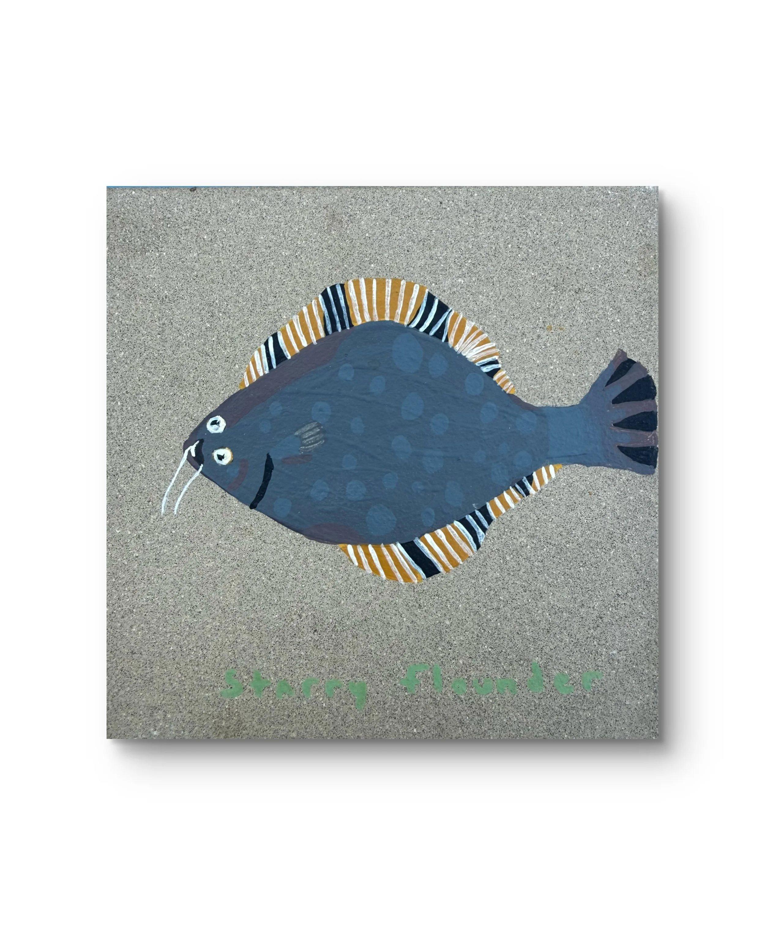 Starry Flounder (7/9)