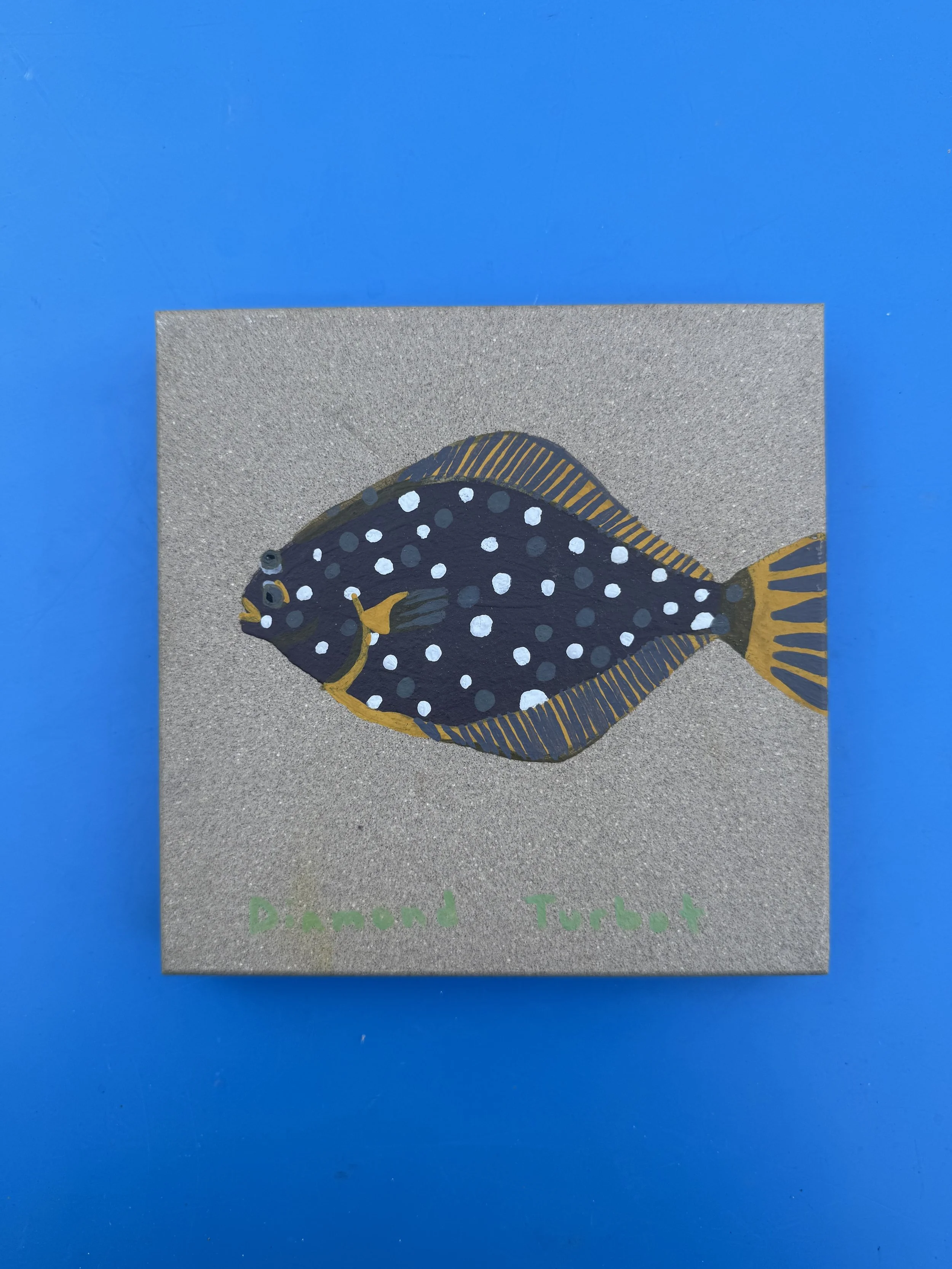 fish 2.jpg