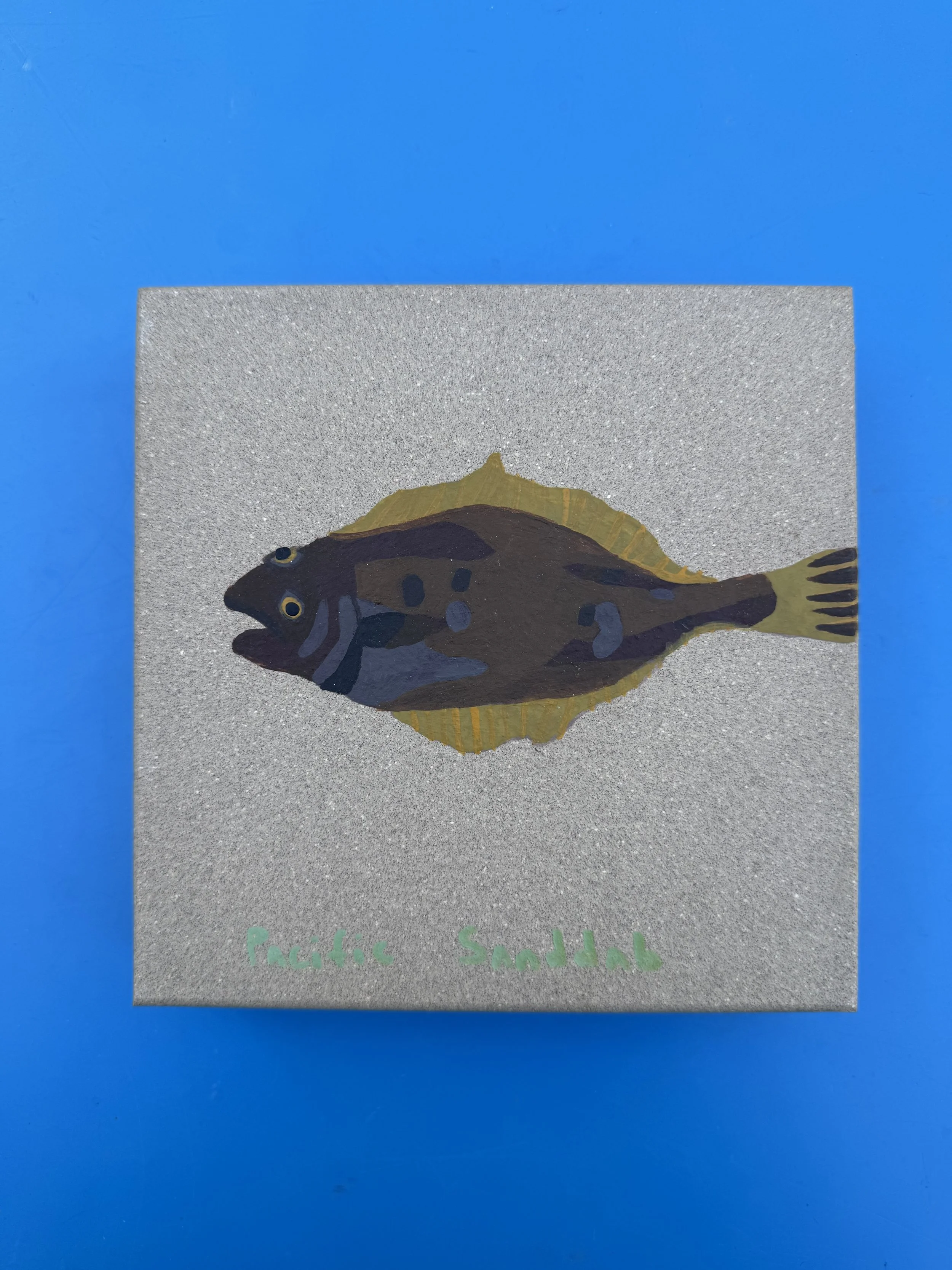 fish 3.jpg