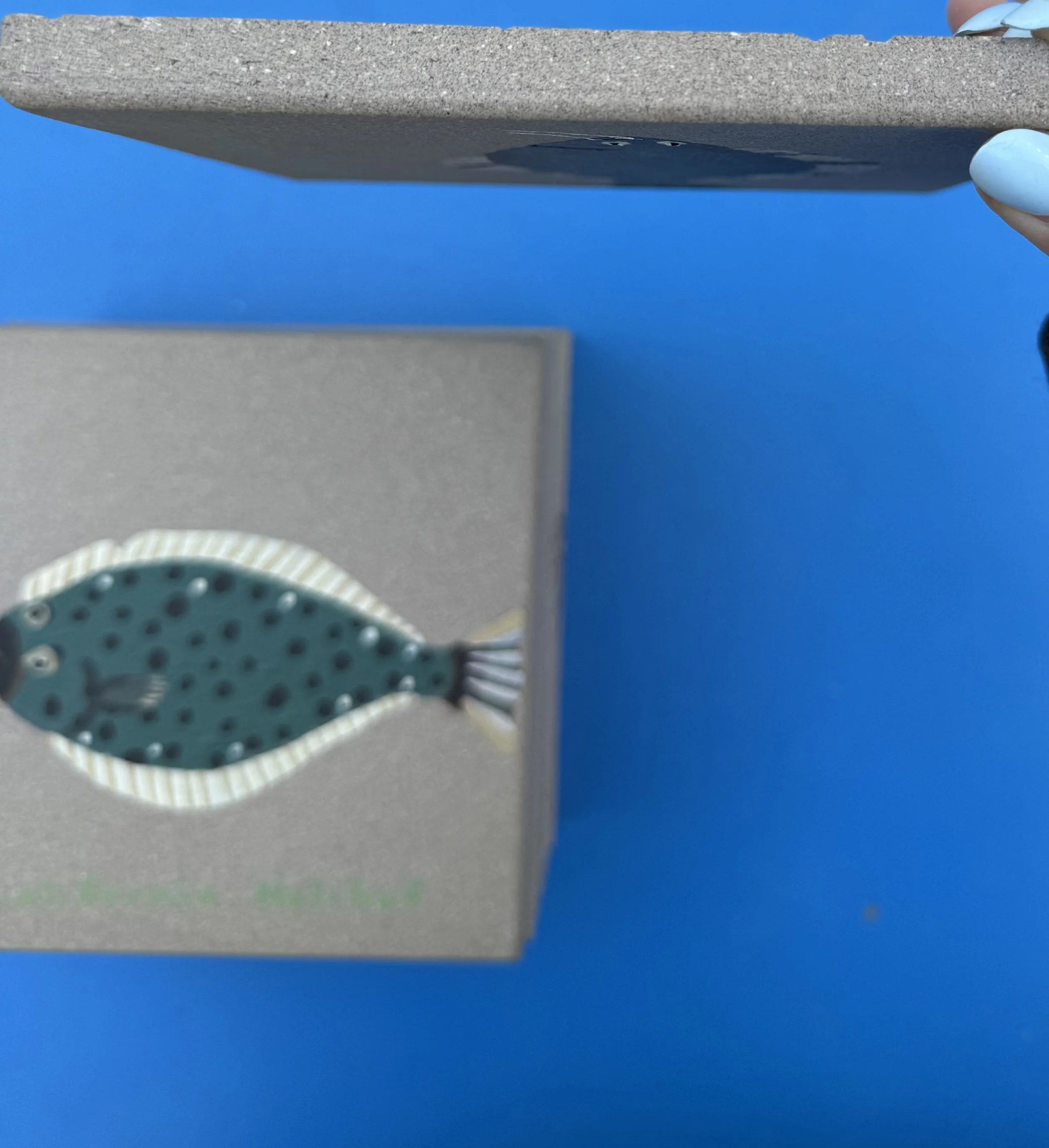 fishes 5.jpg (Copy) (Copy) (Copy) (Copy)