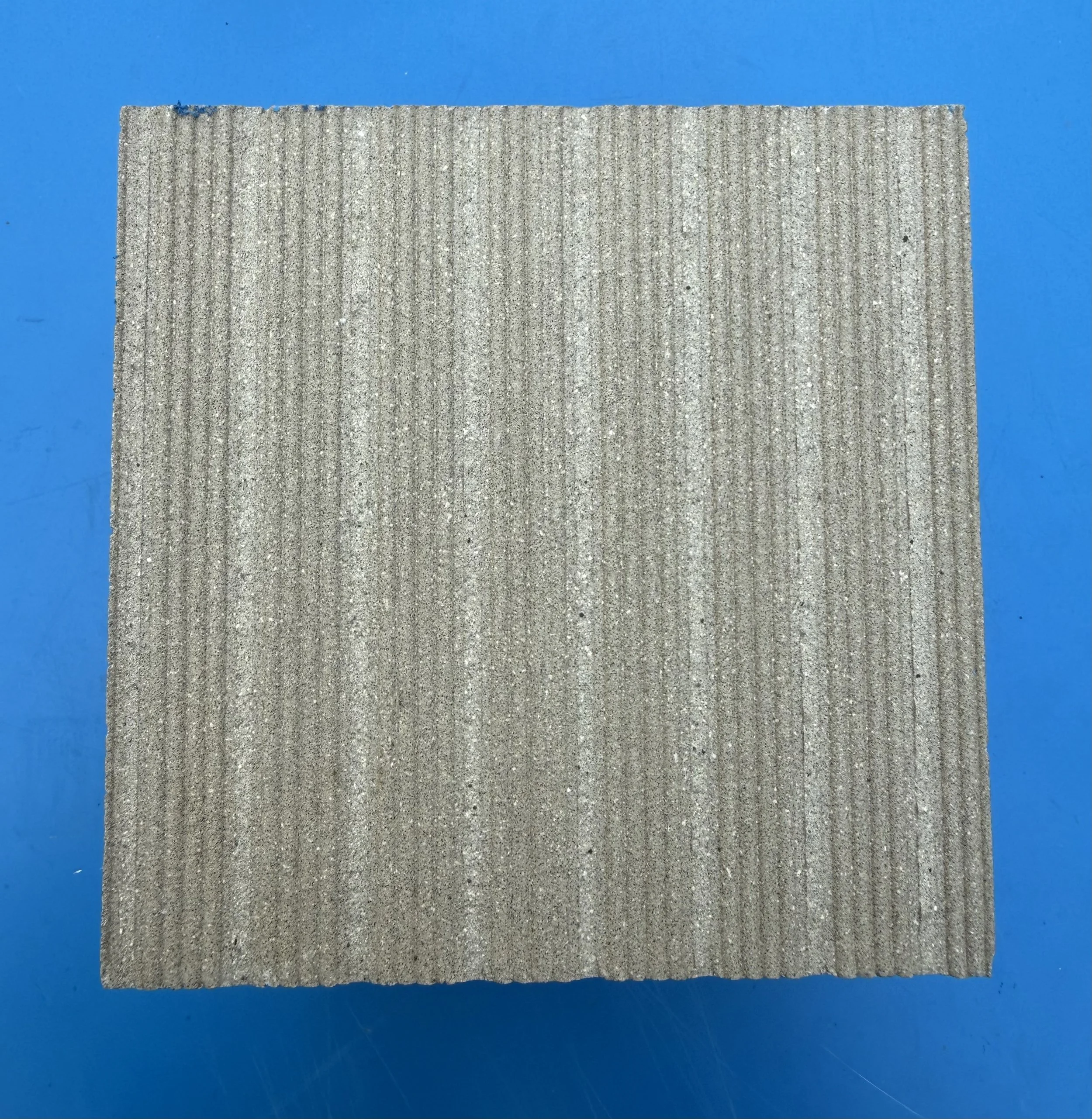 fishes 7.jpg (Copy) (Copy) (Copy) (Copy)