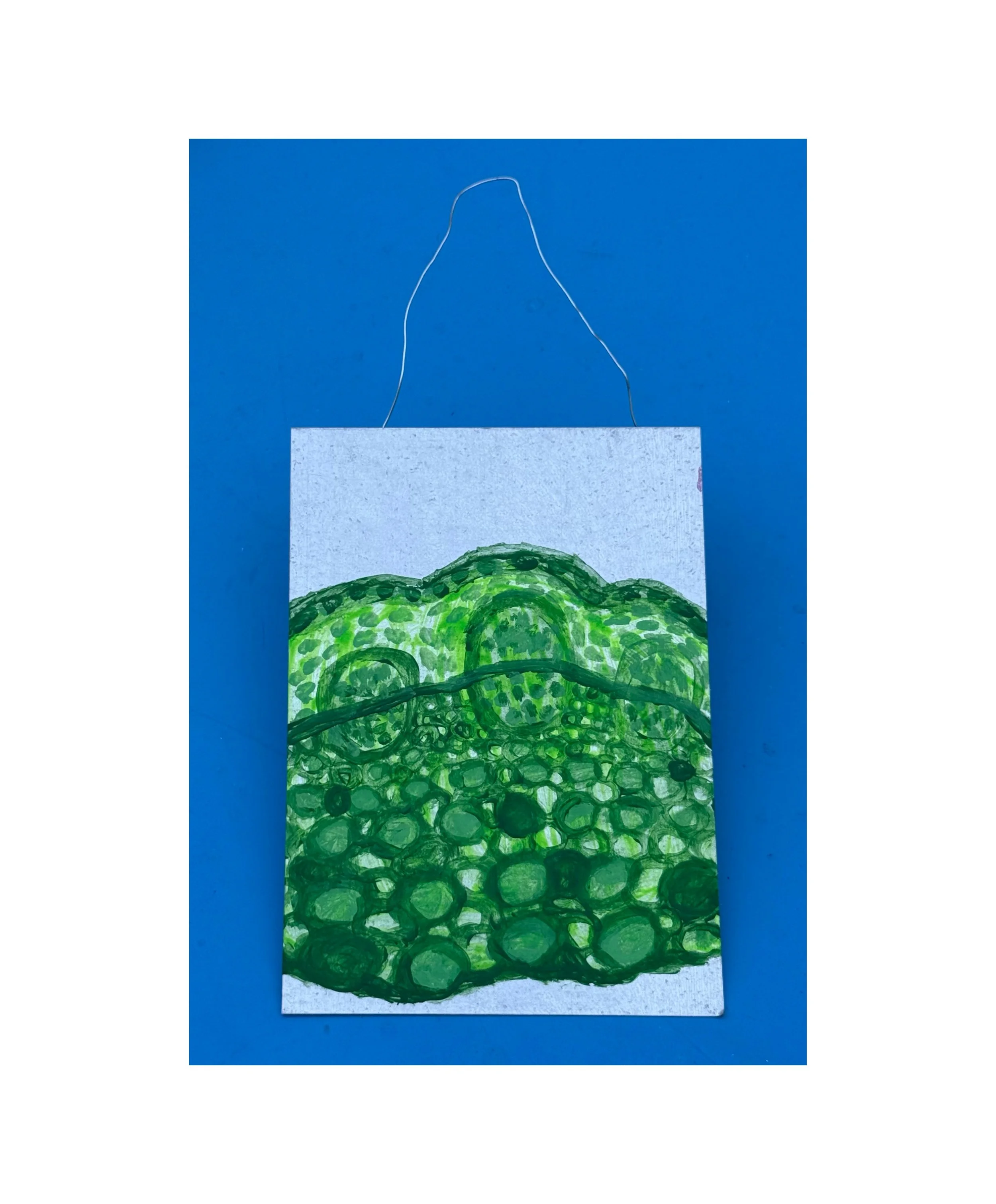 5757aaf0-f23f-11f0-adeb-a5914794d3f1 2.JPG