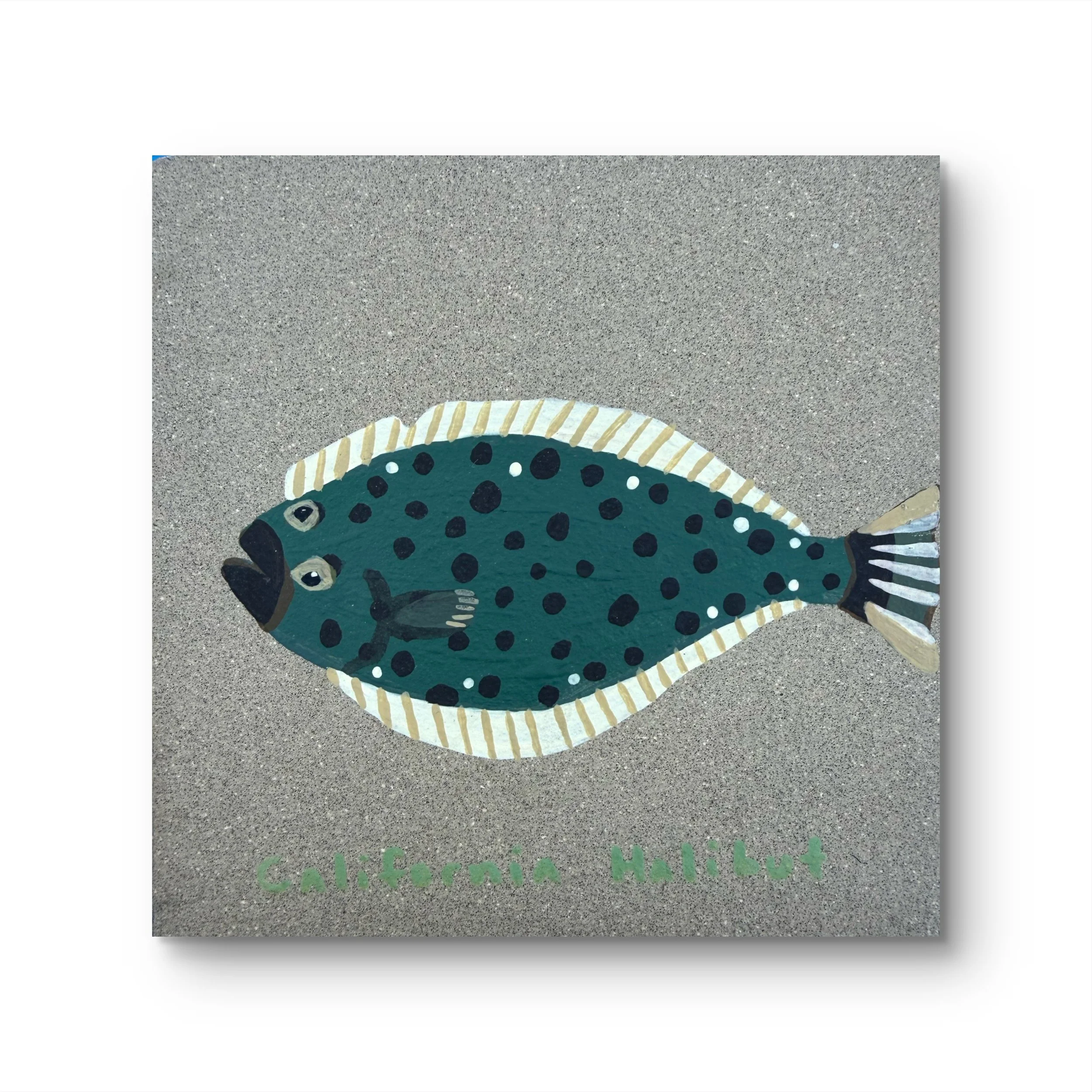 California Halibut (8/9)