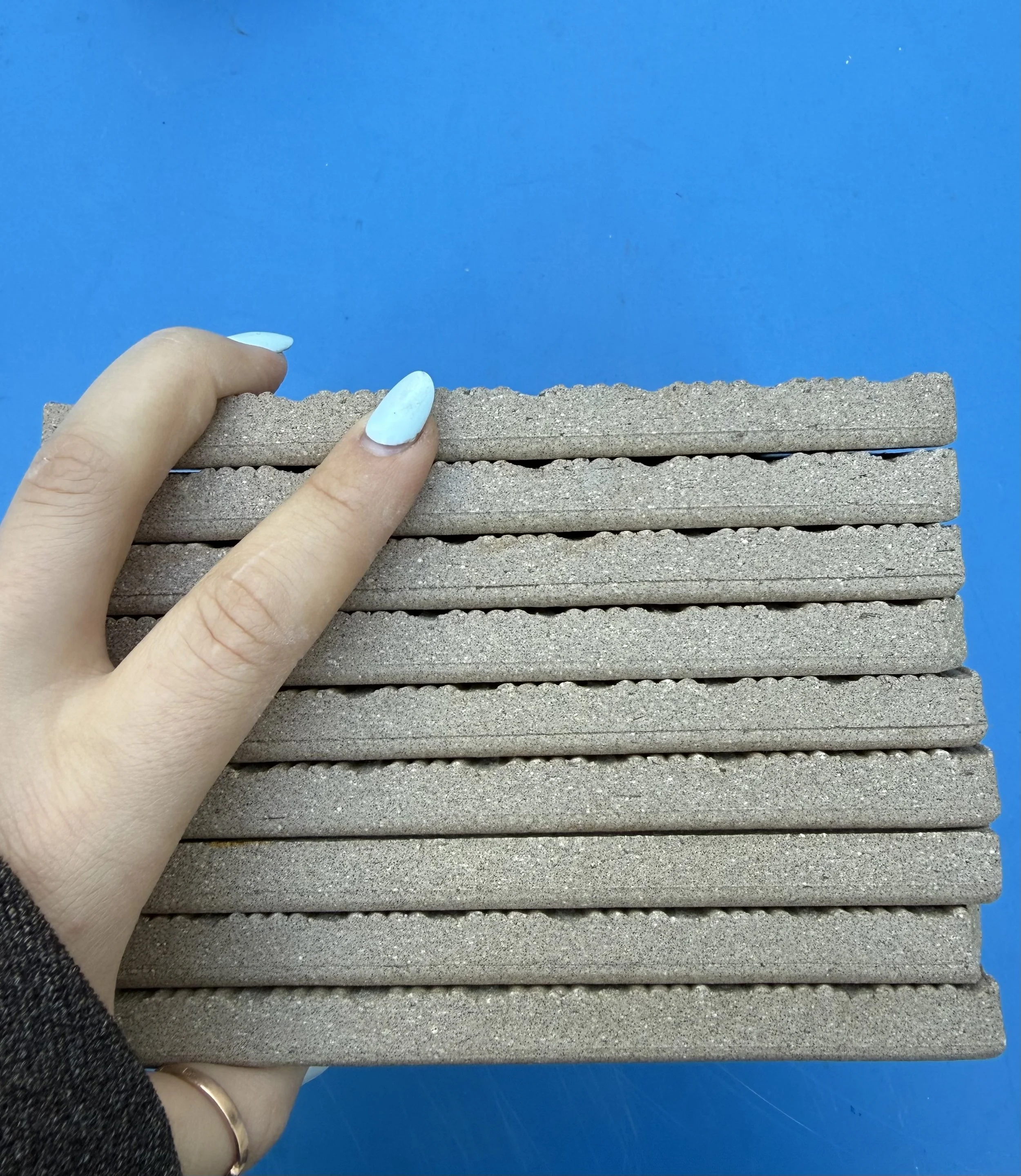 fishes 6.jpg (Copy) (Copy) (Copy) (Copy)