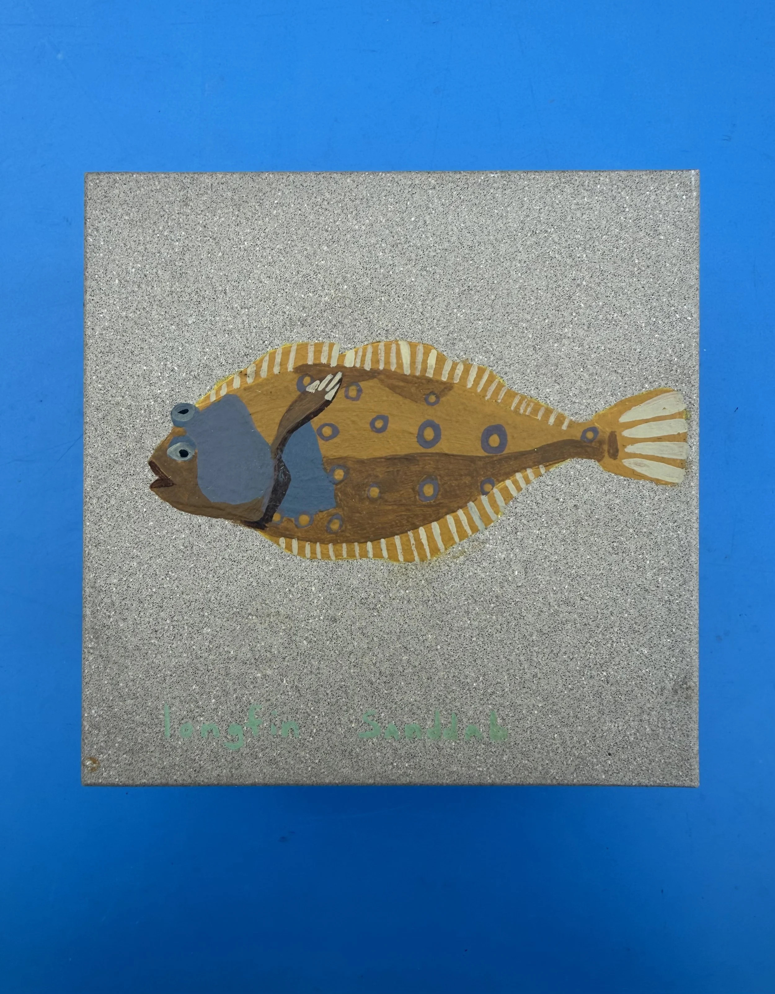 fish 7.jpg
