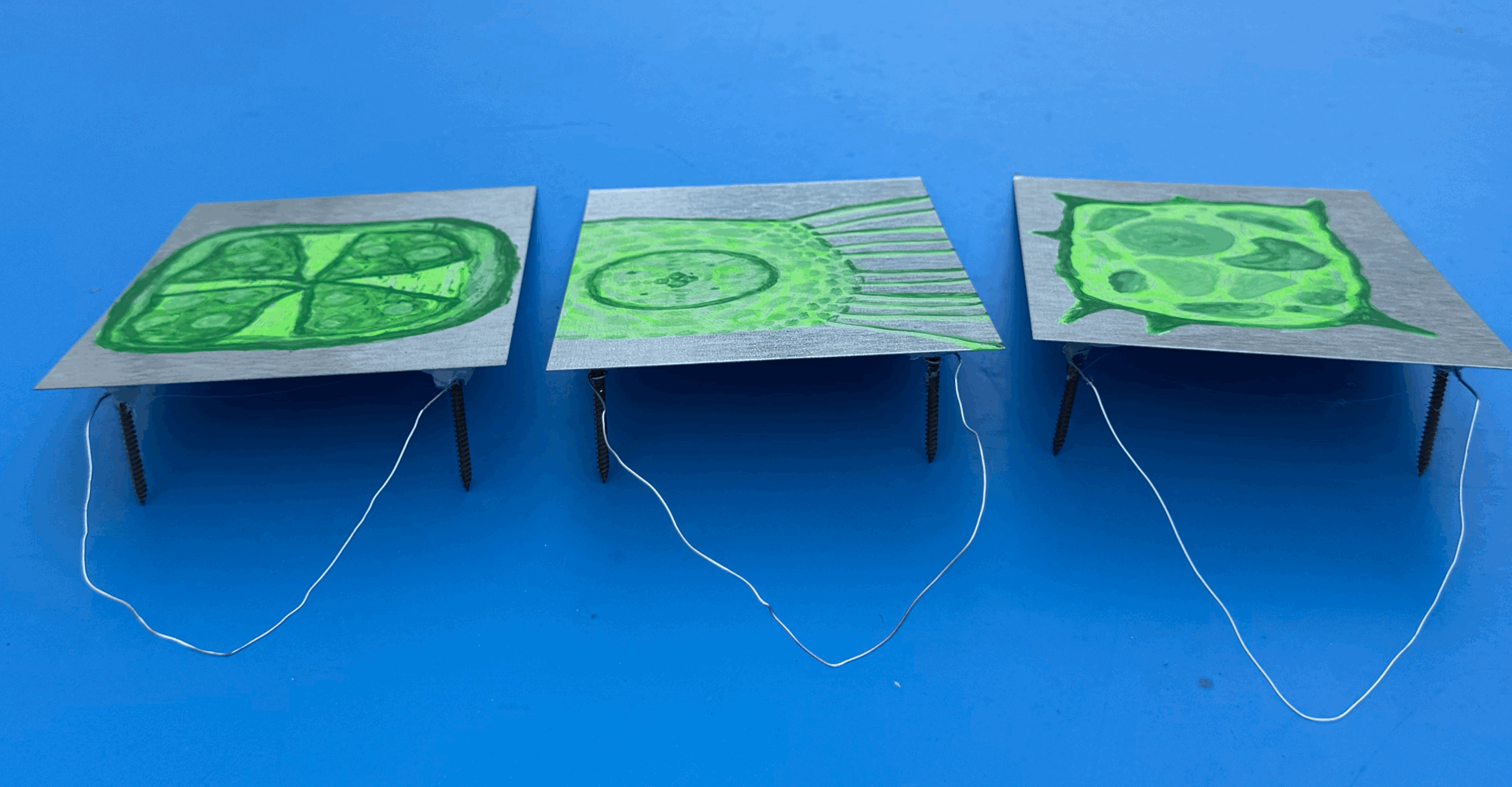 tempImageXowqCc.gif (Copy) (Copy) (Copy)