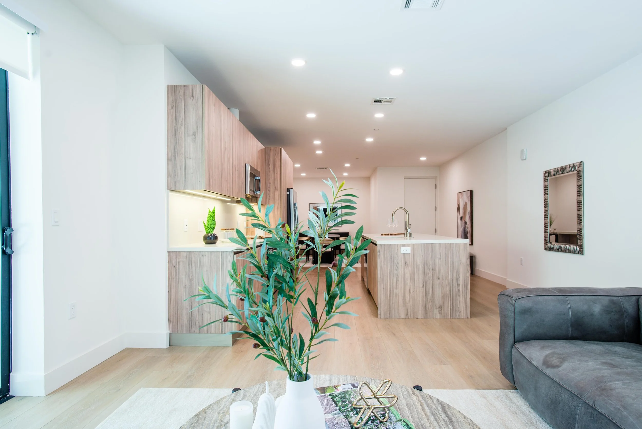 Regal_unit102_after_living_dining_kitchen14.jpg