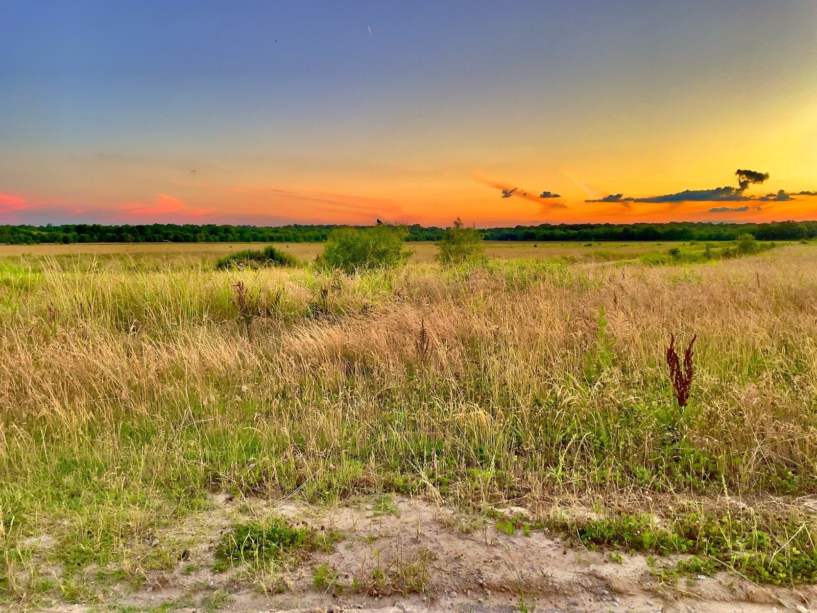 Summer Sunset in the Meadow