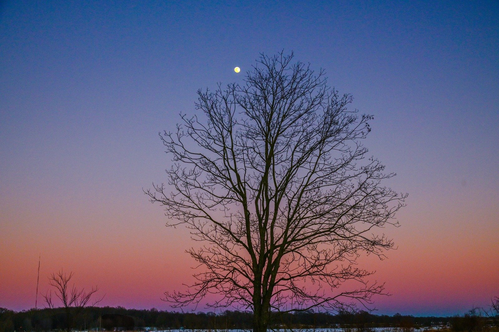 Moon Rise in the Meadow