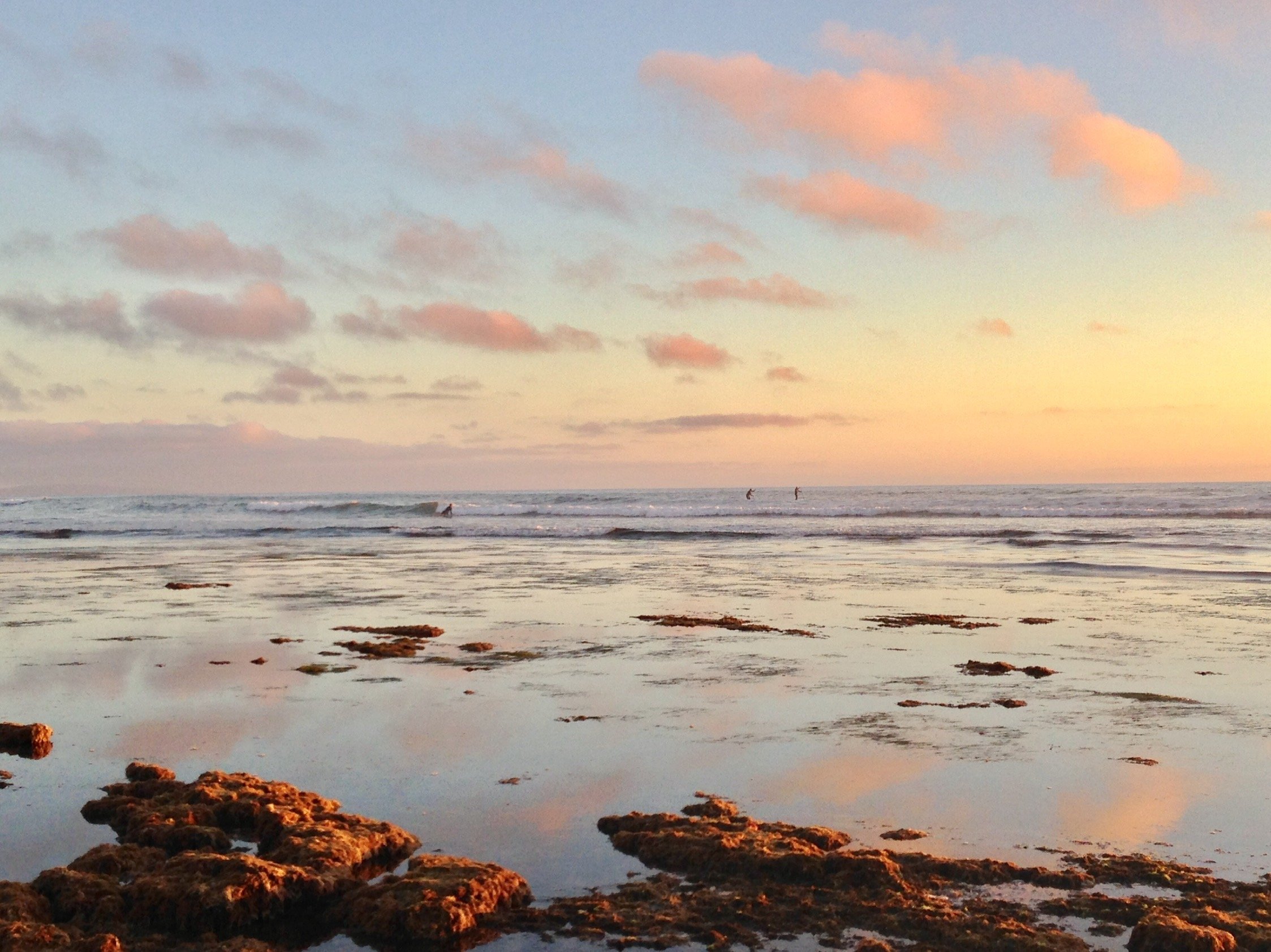 California Ocean Dreaming