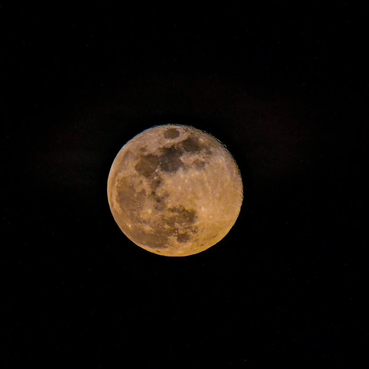 Brilliant Wolf Moon
