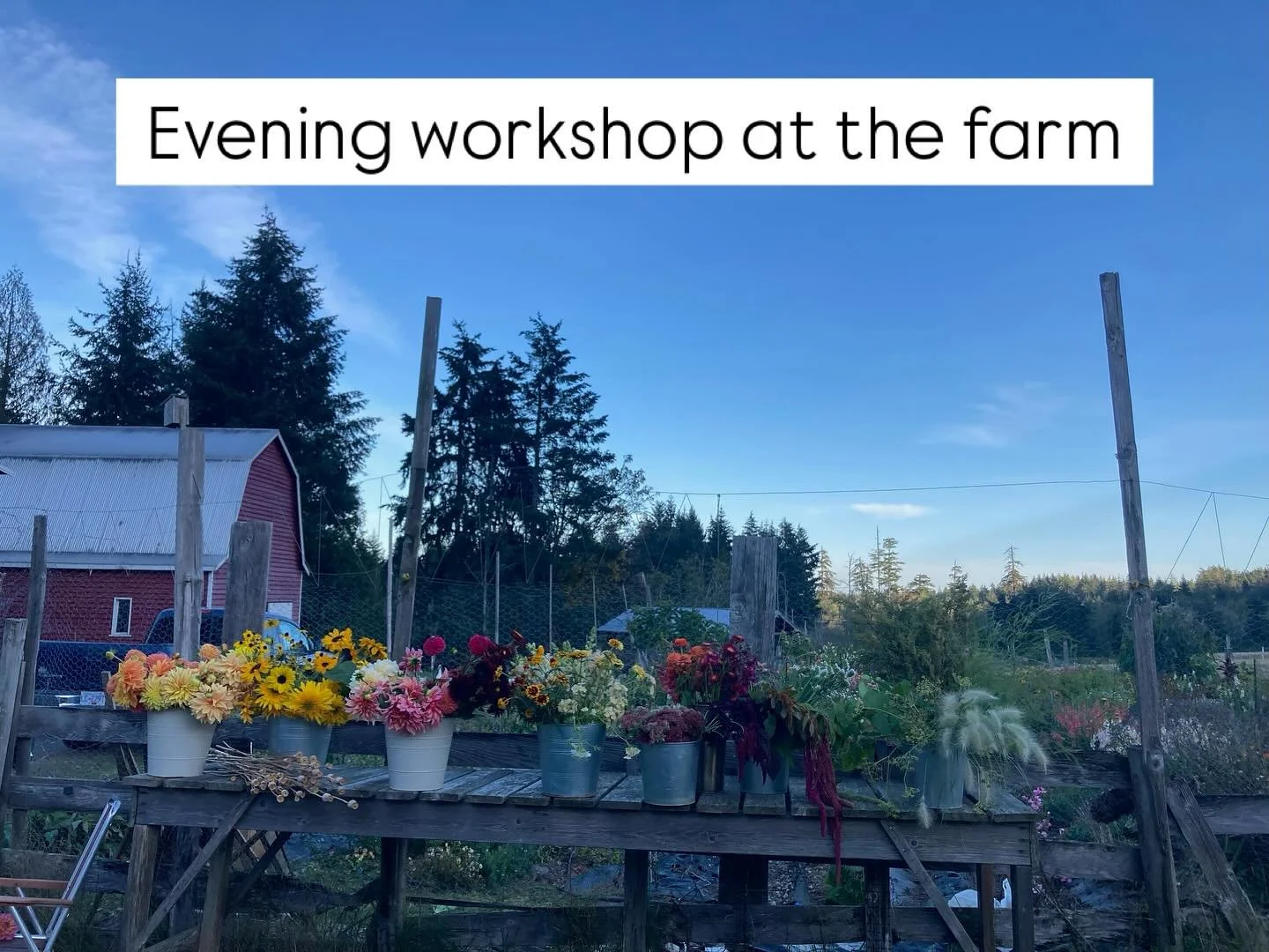 In partnership with neighbourhood small grants I had the please of hosting a workshop up at the farm to make some centre pieces for our thanksgiving tables❤️