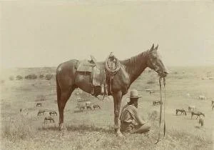 man and horse overlooking cattle