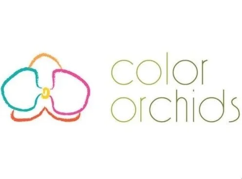 Colorful line drawing of an orchid flower next to the words 'color orchids' in green text.