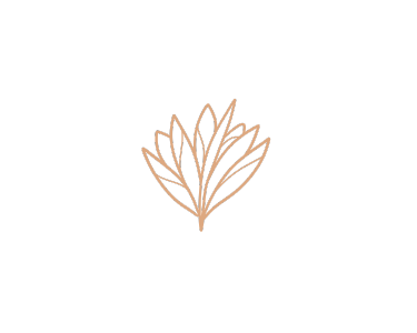 Minimalist illustration of a plant with simple leaves on black background.