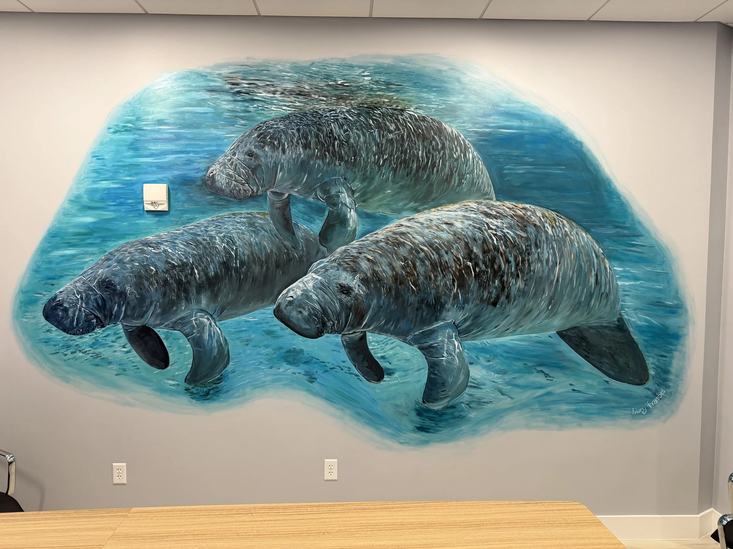Manatee mural for Cogent Bank, Bradenton, FL April 2026