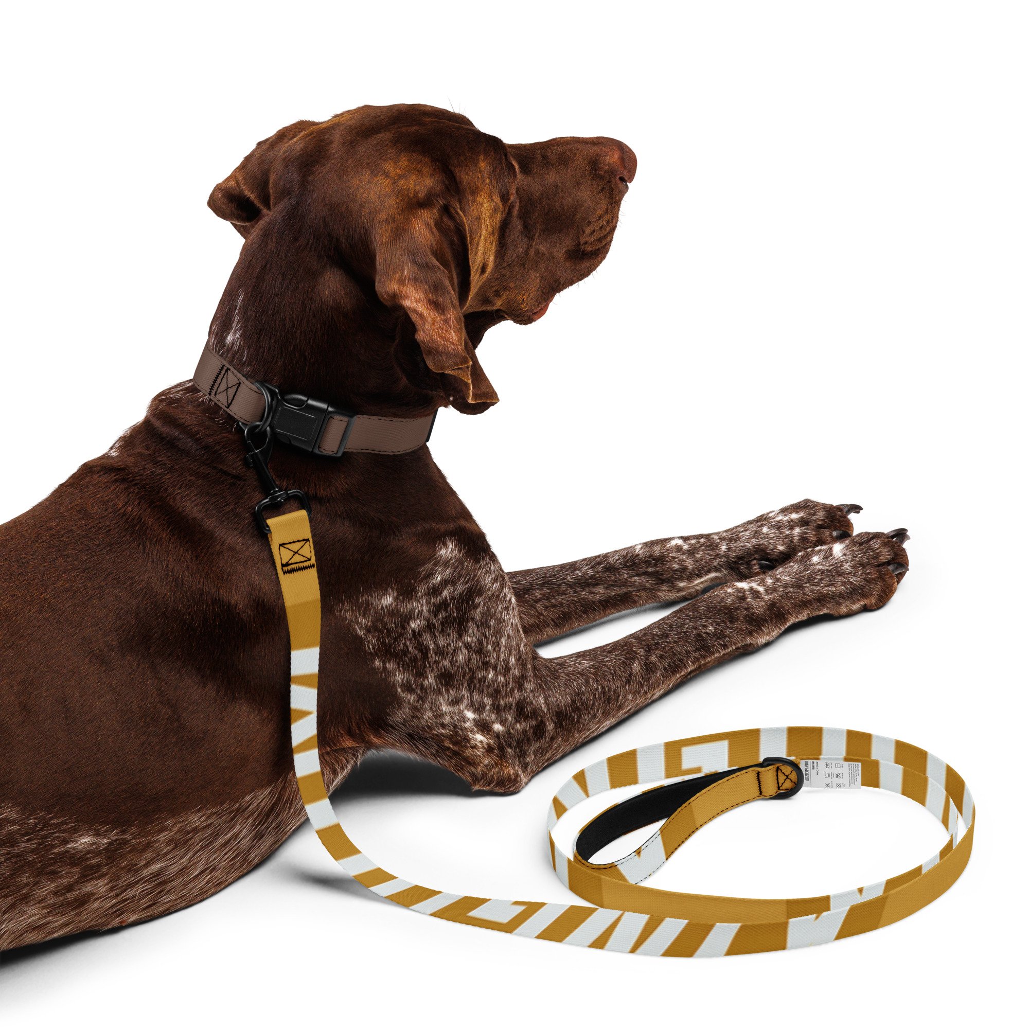 pet-leash-white-front-683cd6a161031.jpg