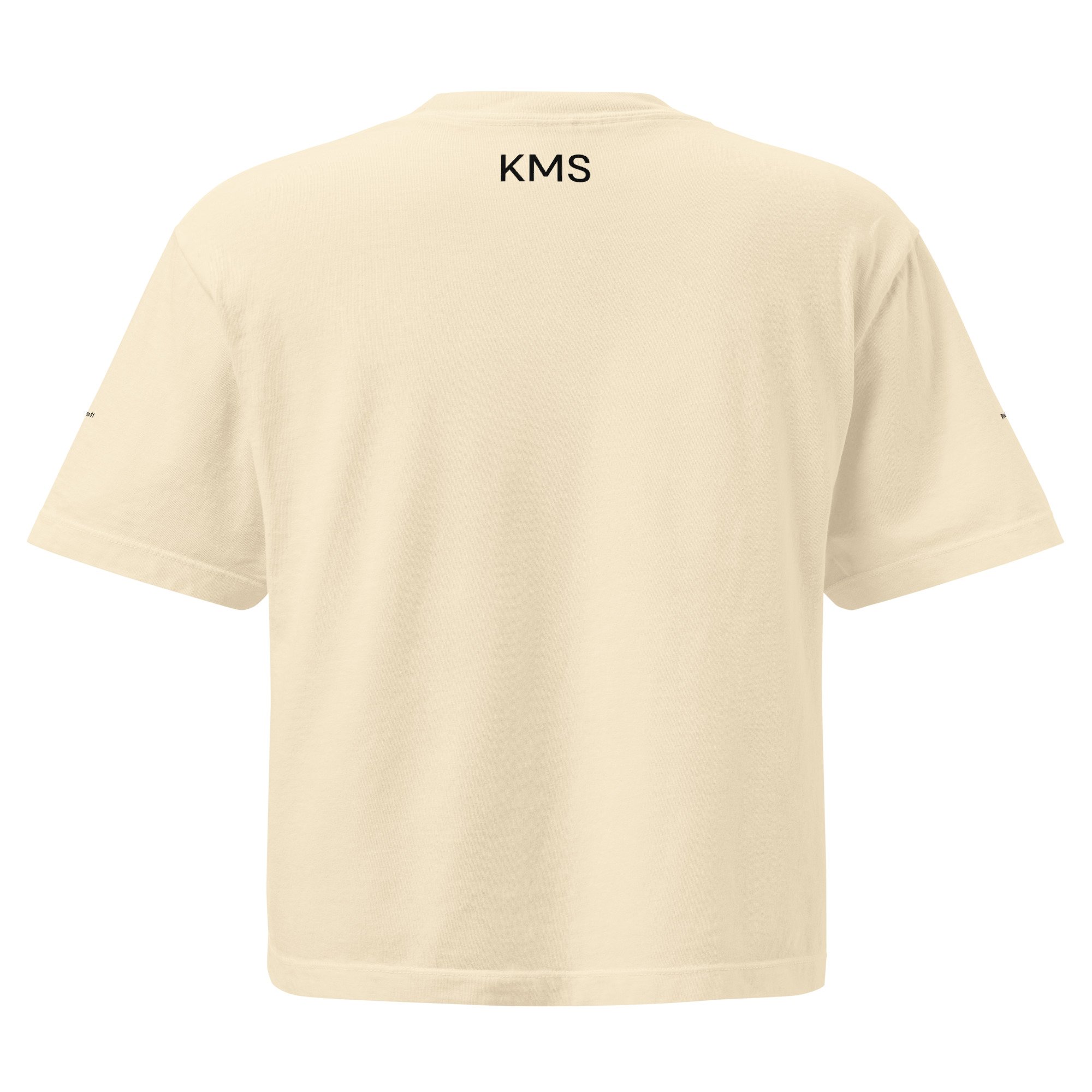 womens-heavyweight-boxy-t-shirt-ivory-back-683ce18669278.jpg