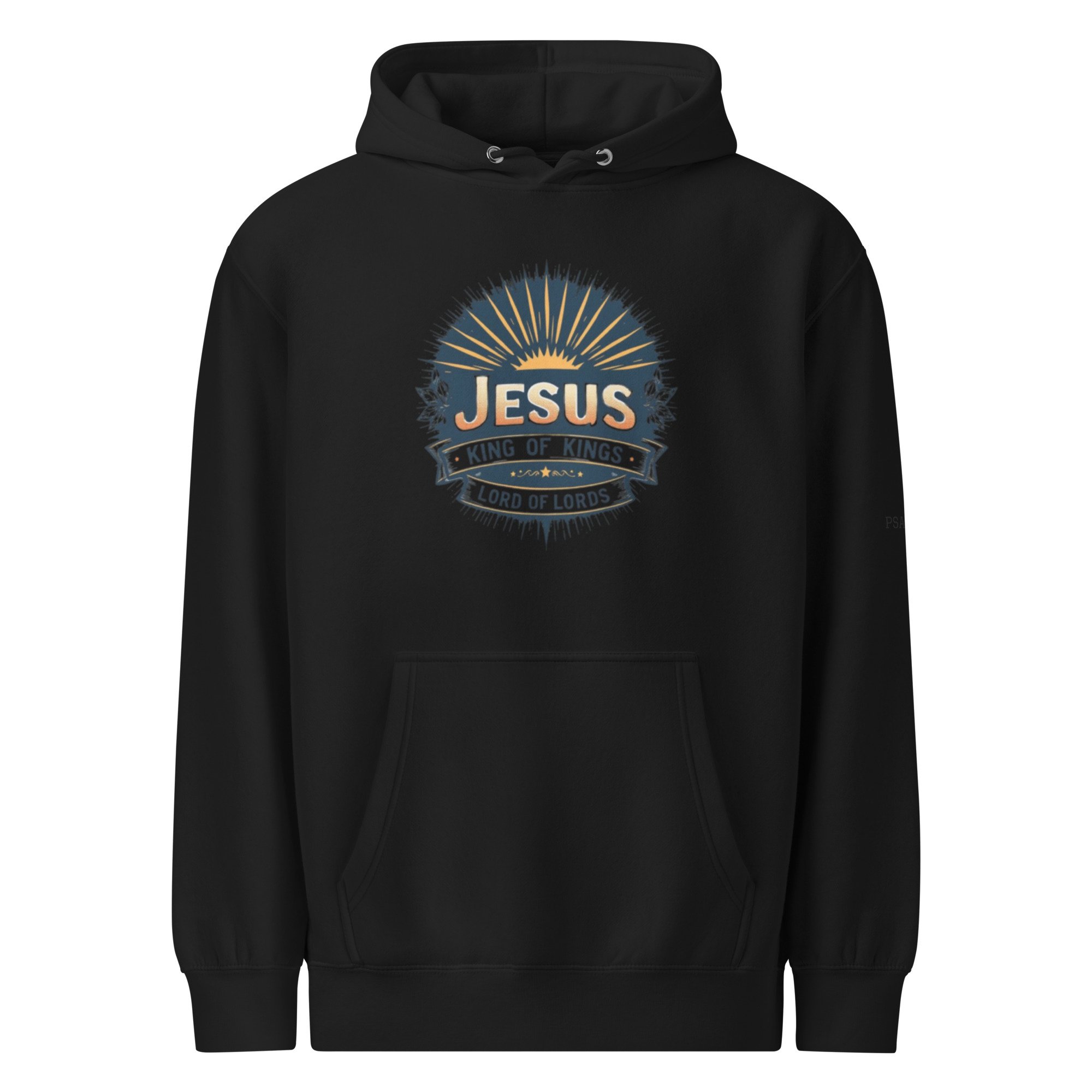 unisex-premium-mid-weight-hoodie-black-front-683d2e2242f81.jpg