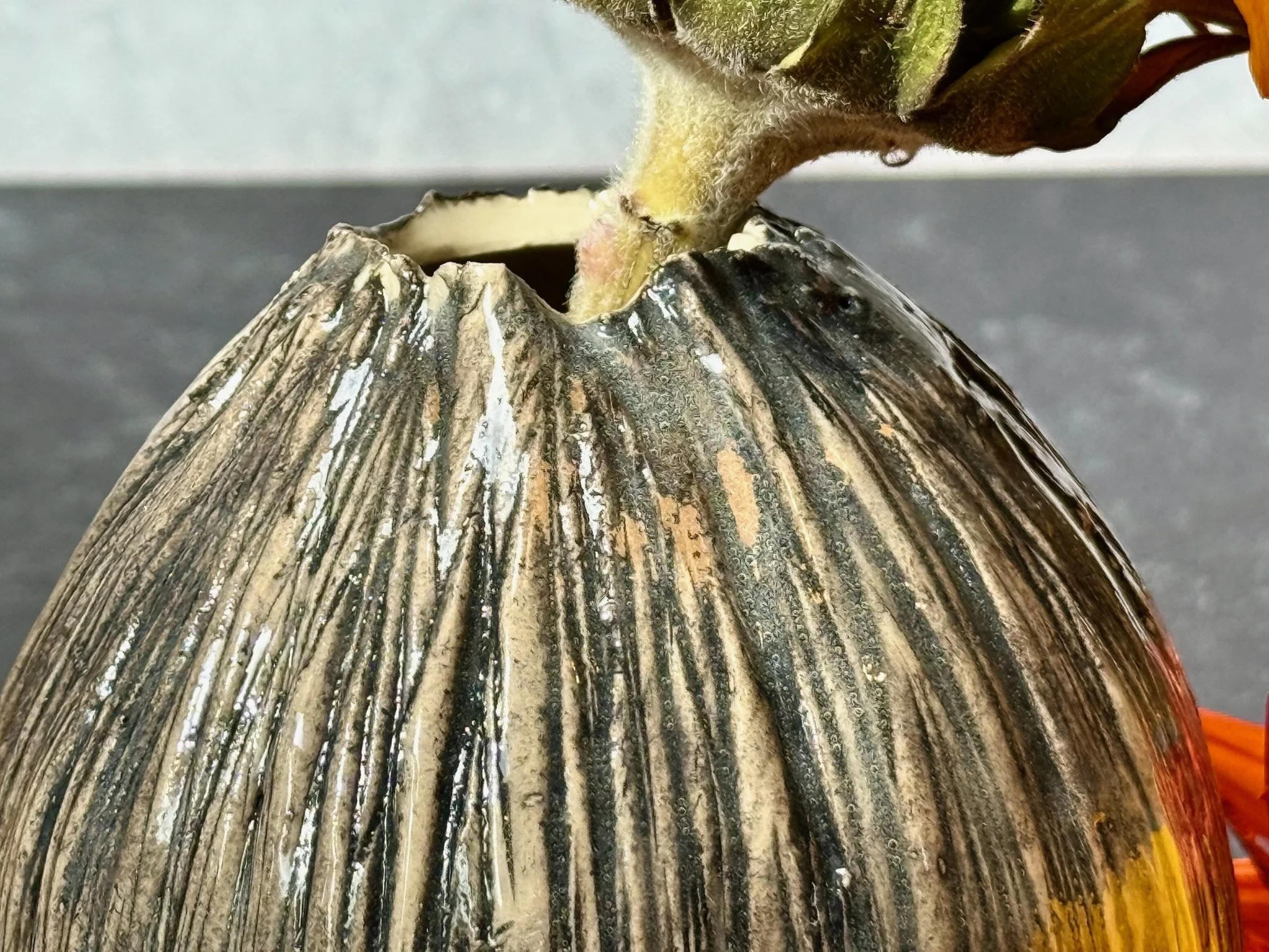 Small rounded vase with black oxide under clear gloss and smooth profile.