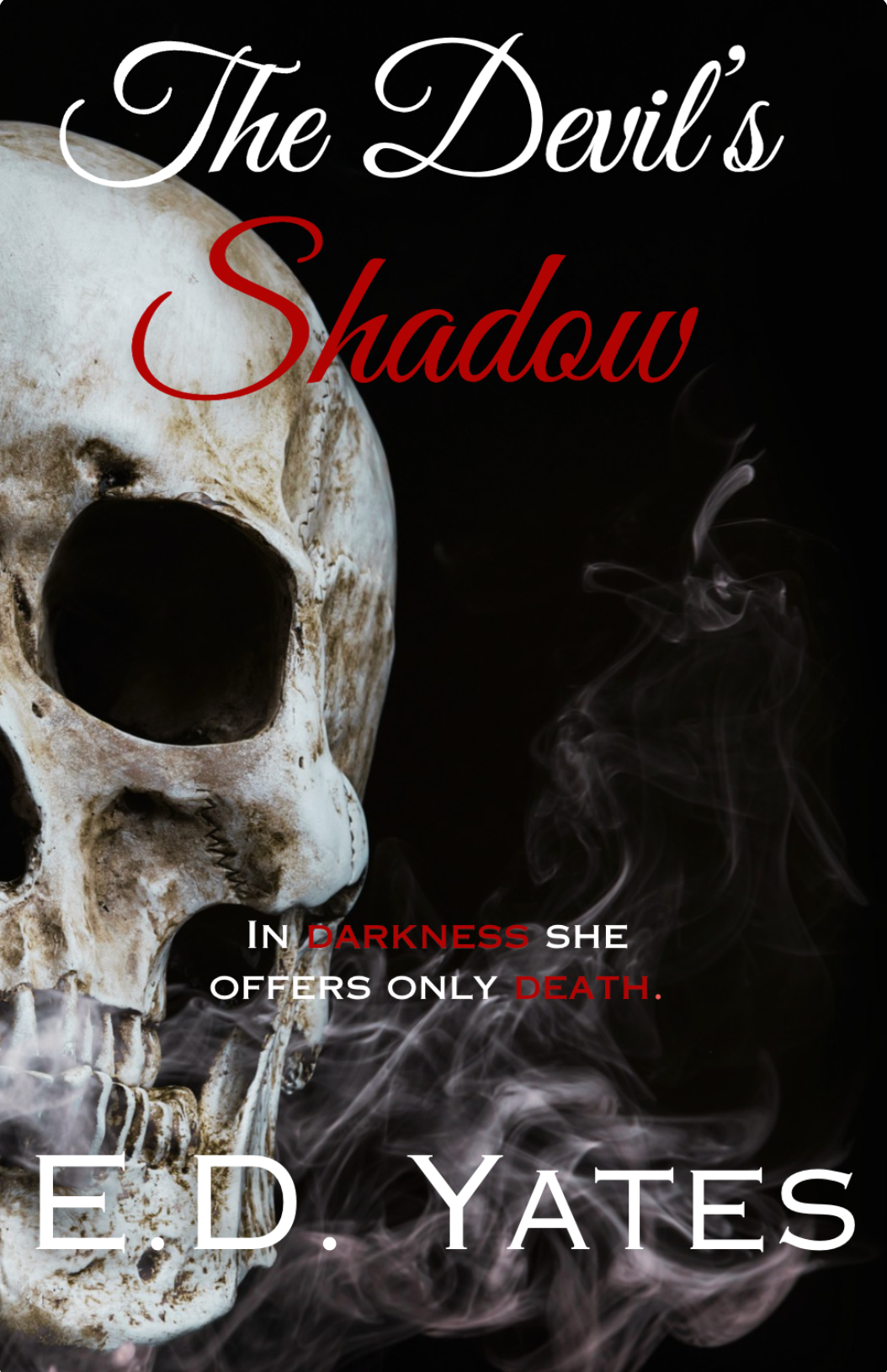 Screenshot 2026-02-19 at 12.05.23 PM.png (Copy)