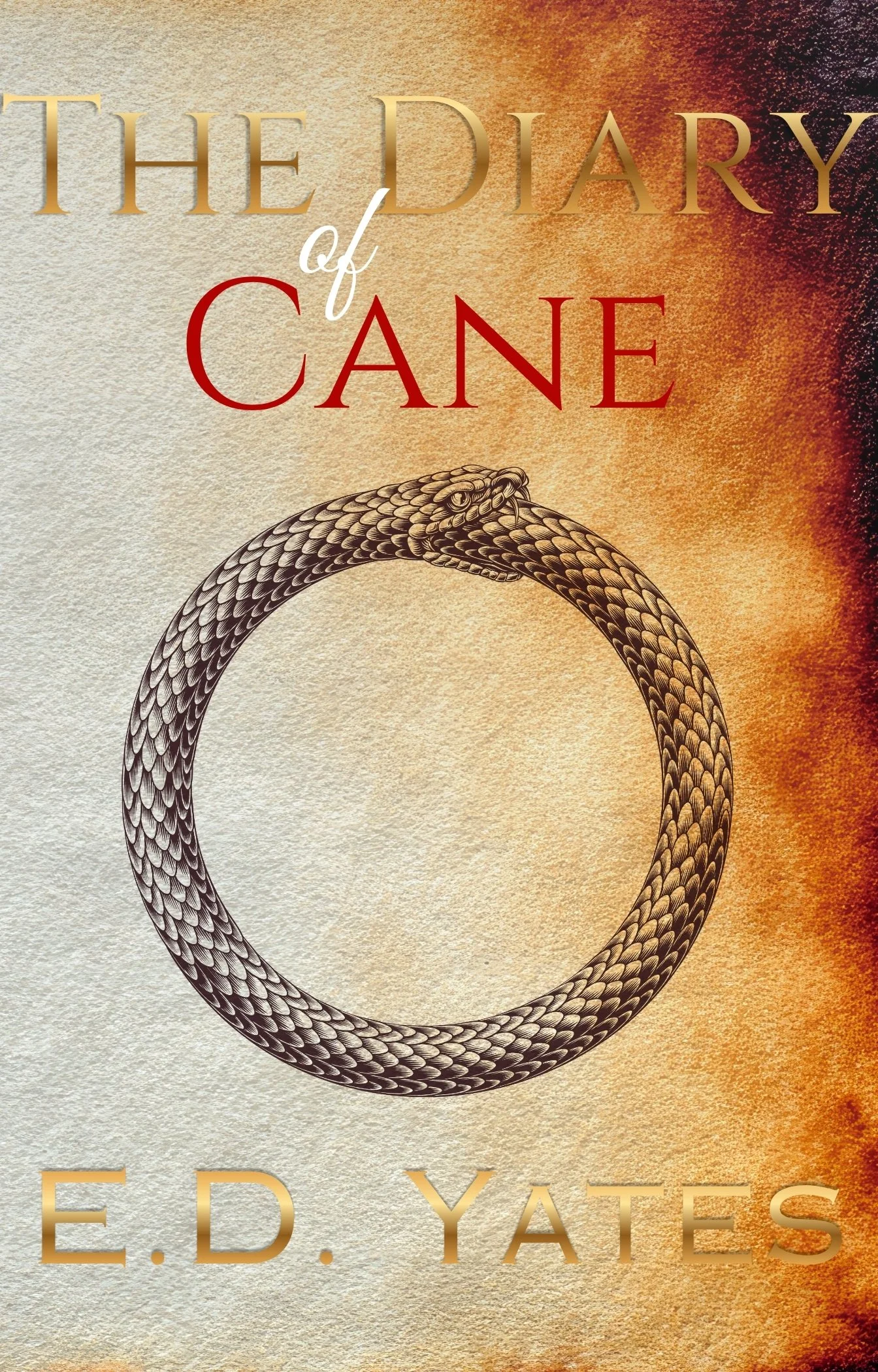 Diary of Cane Ebook.jpg