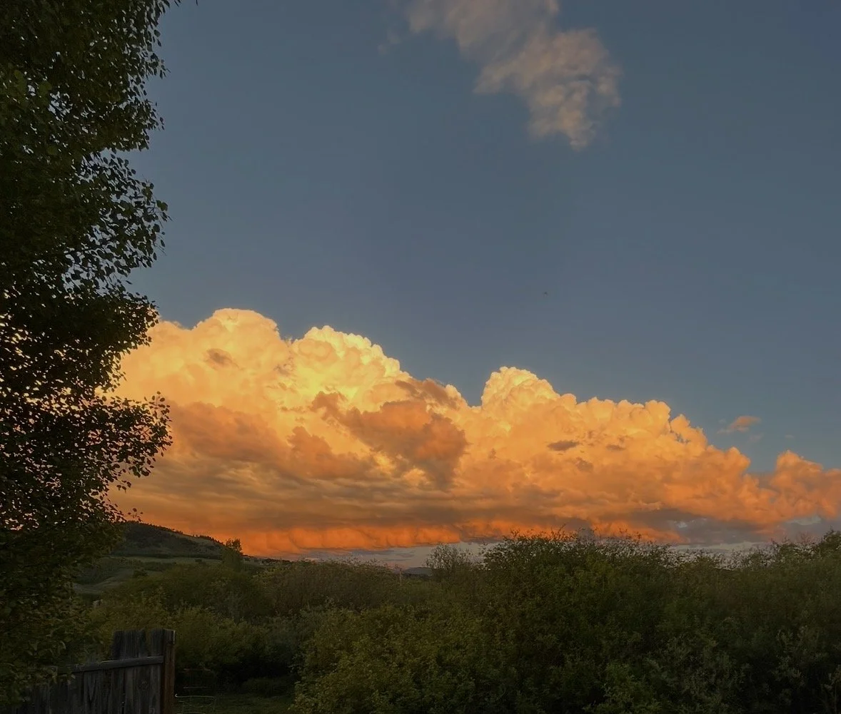 “Facilitating here feels like coming home.”