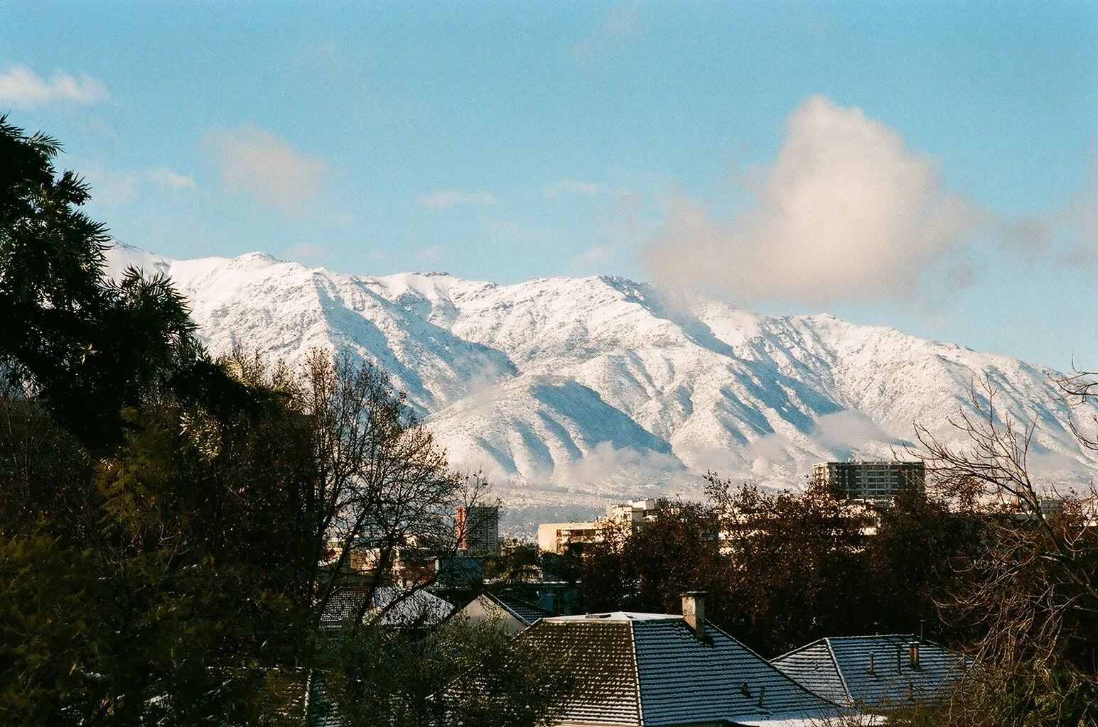 Fotografía Análoga "Cordillera Nevada" - 2018