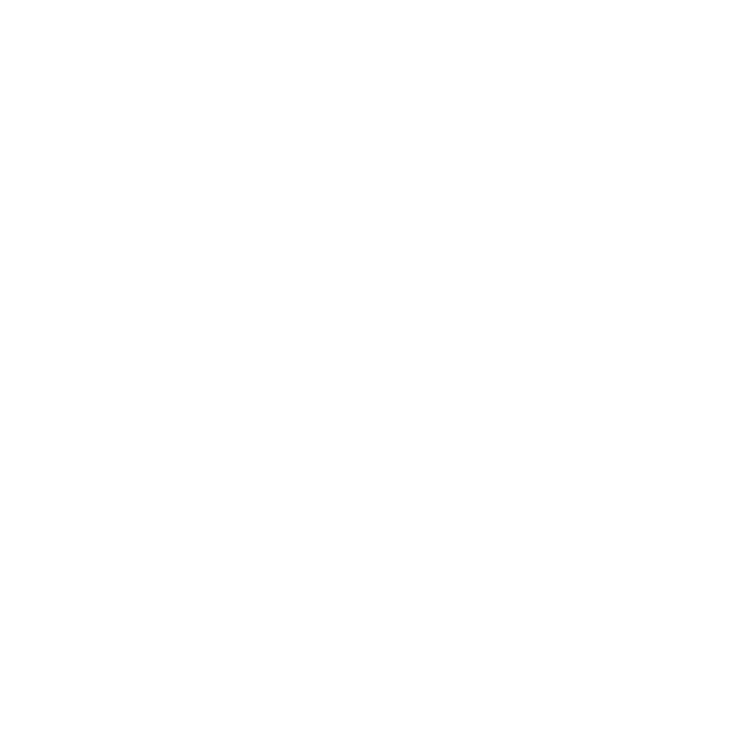 A blank white background with no visible objects or scenery.