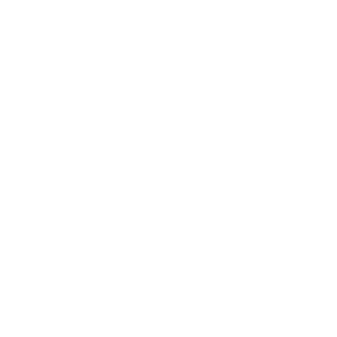 Icon of a magnifying glass