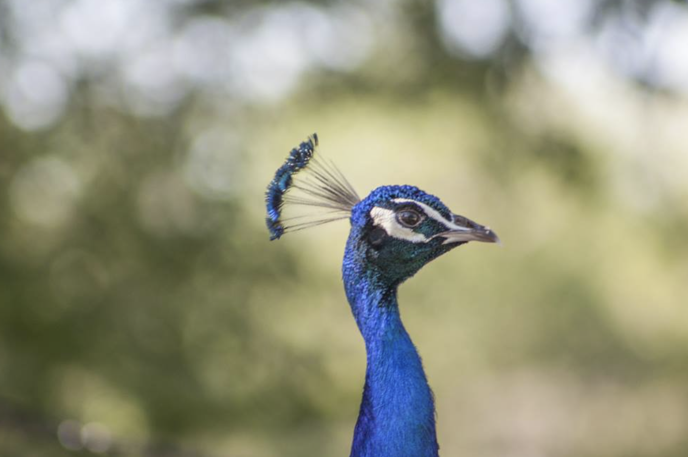 Screenshot 2025-03-12 at 3.44.31 PM.png