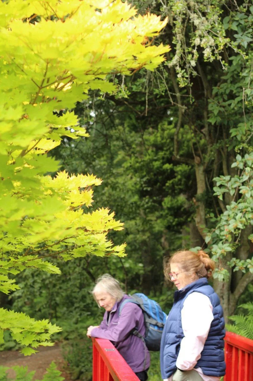 Walk and talk therapy aberdeen
