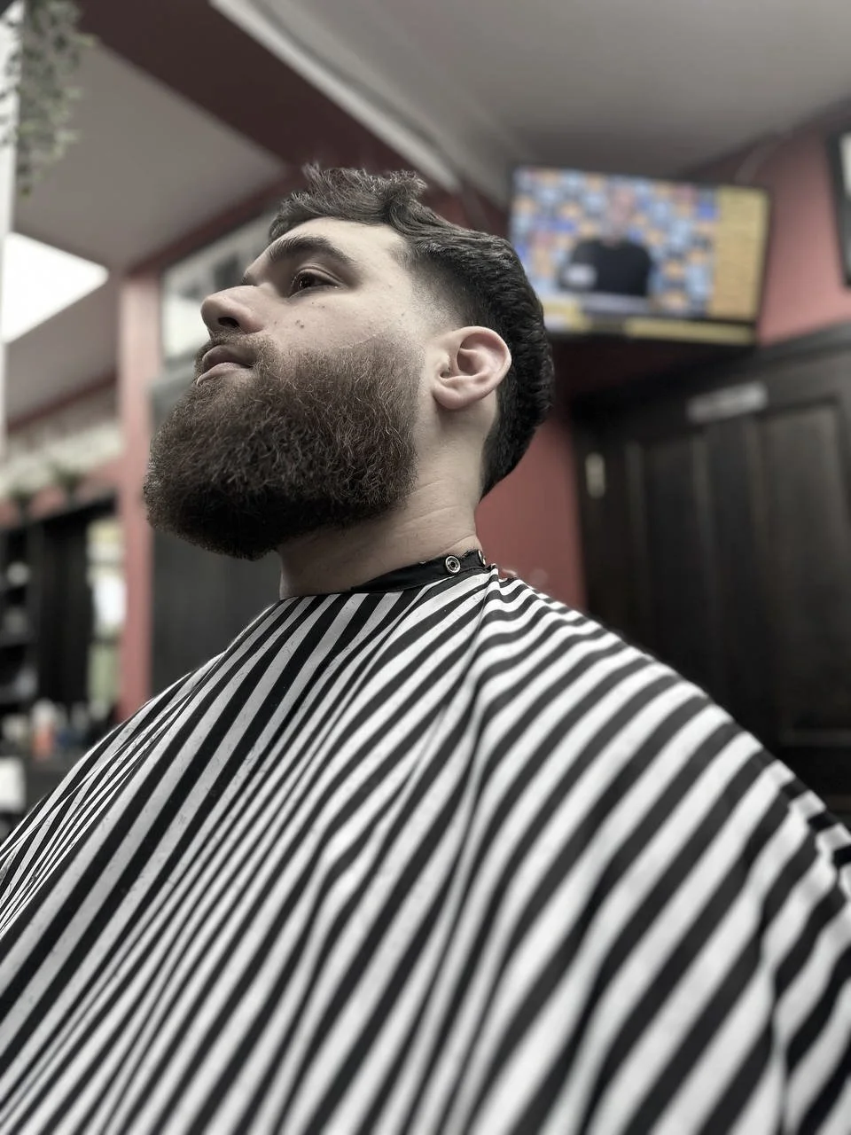 Taper Beard Trim Portadown Barbers